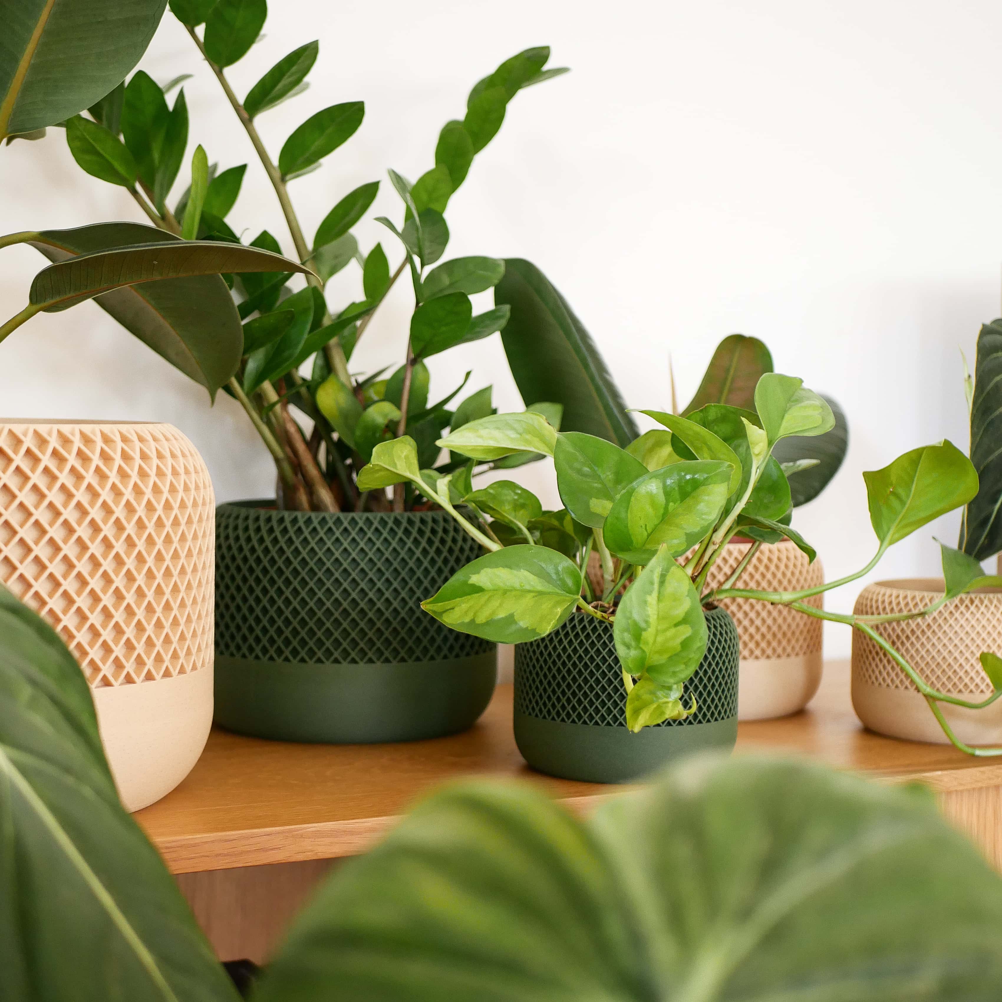 Collection of potted plants in the Apple planters on a wooden surface with a blurred background #color_green