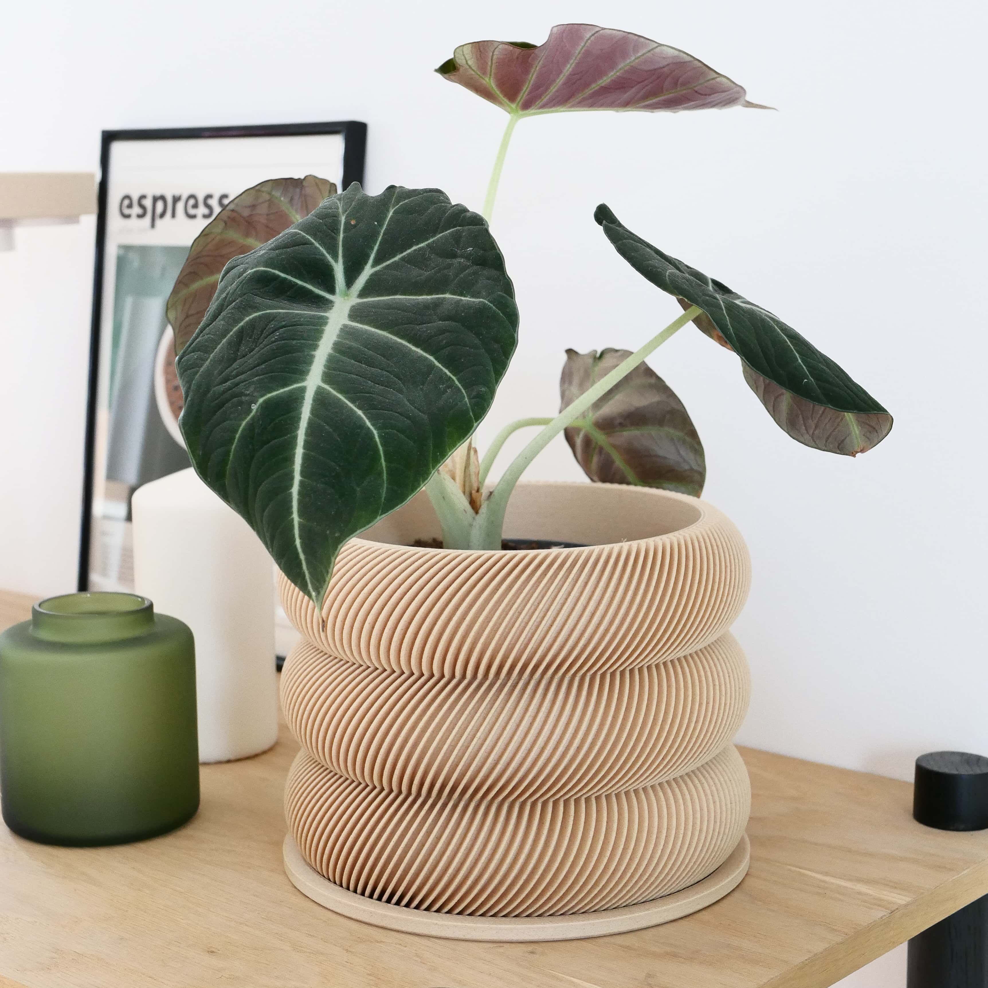 Unique wooden planter textured Kaki - Minimum design #color_natural