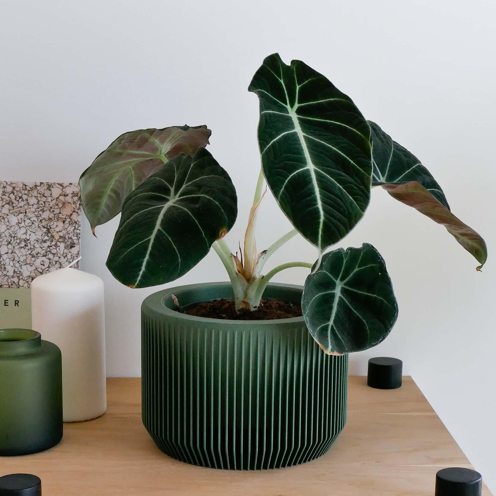 Focus on the unique texture of the Green Praha planter #color_Green