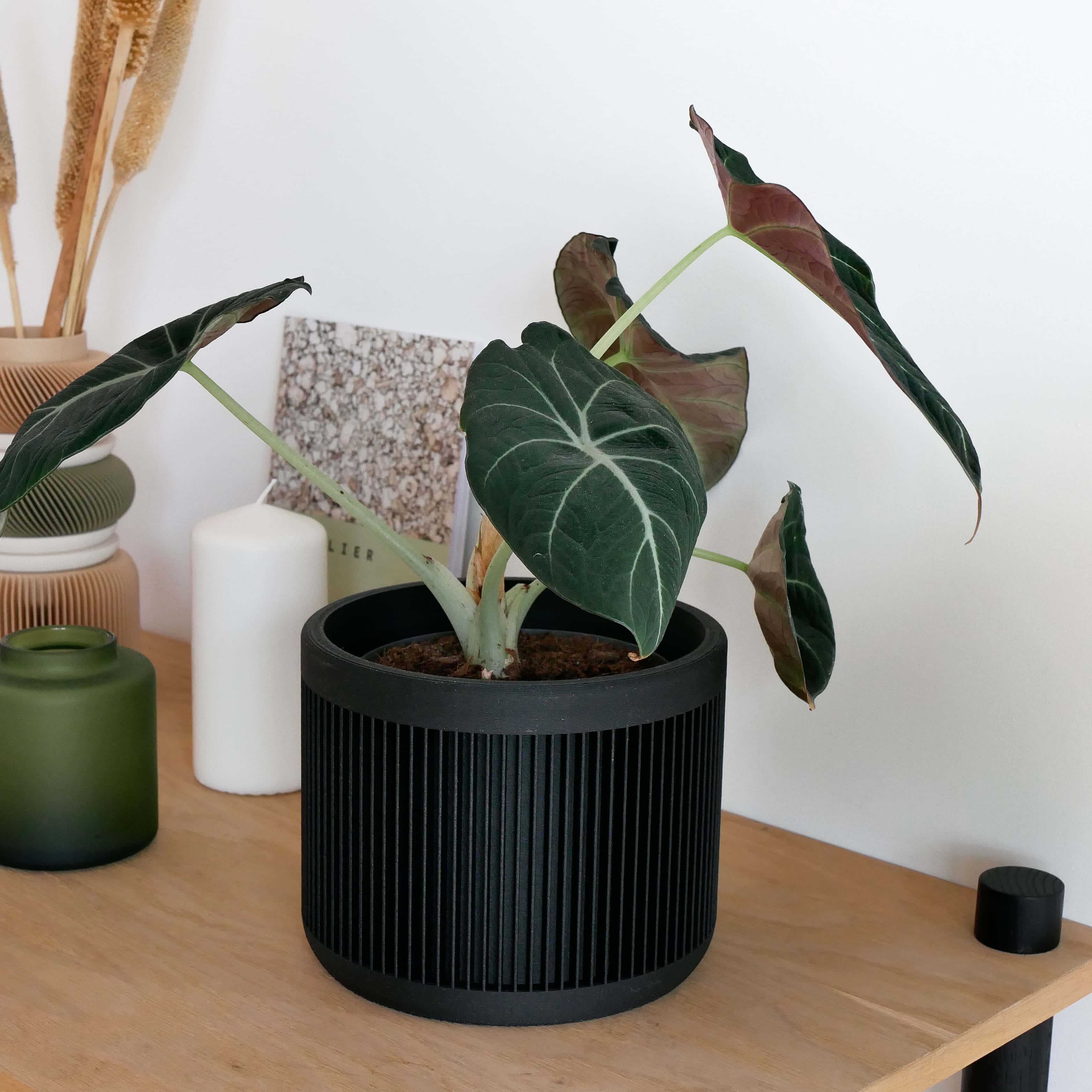 Japan indoor wooden plant pot with green plant, in black color #color_black