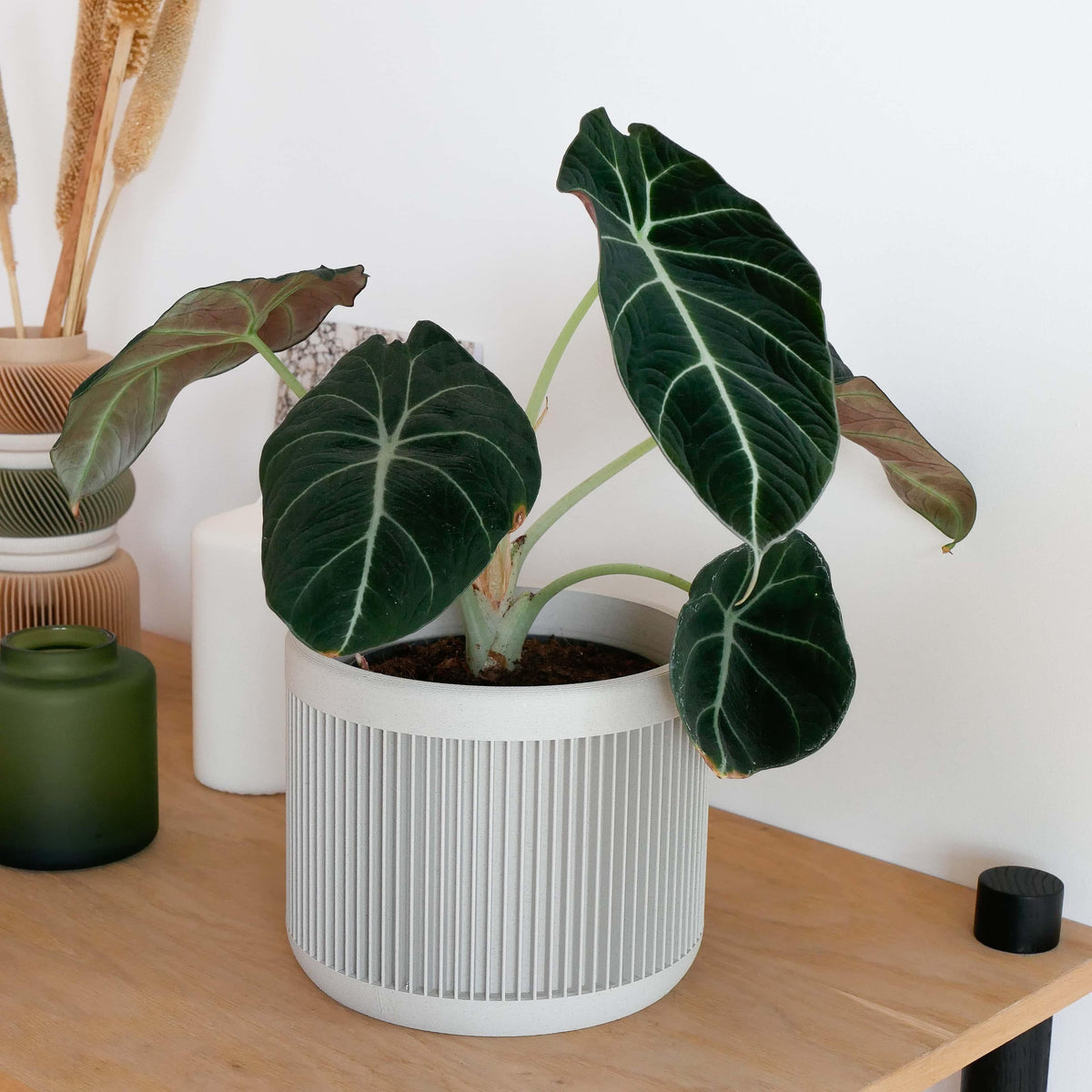 Off white minimalist and textured planter on a shelf with home accessories