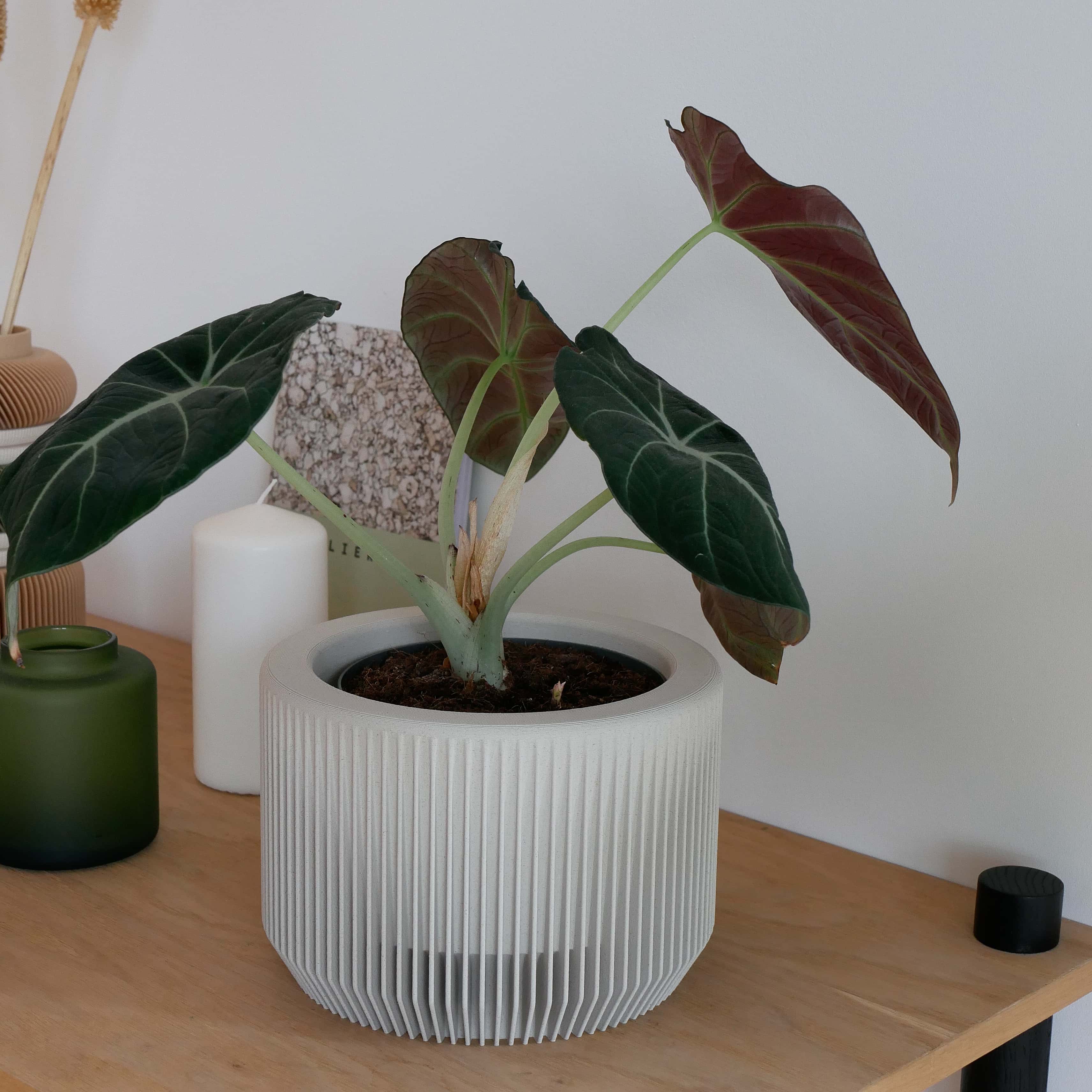 focus on the unique and minimalist texture of the mist white PRAHA planter with a nice house plant #color_Mist white