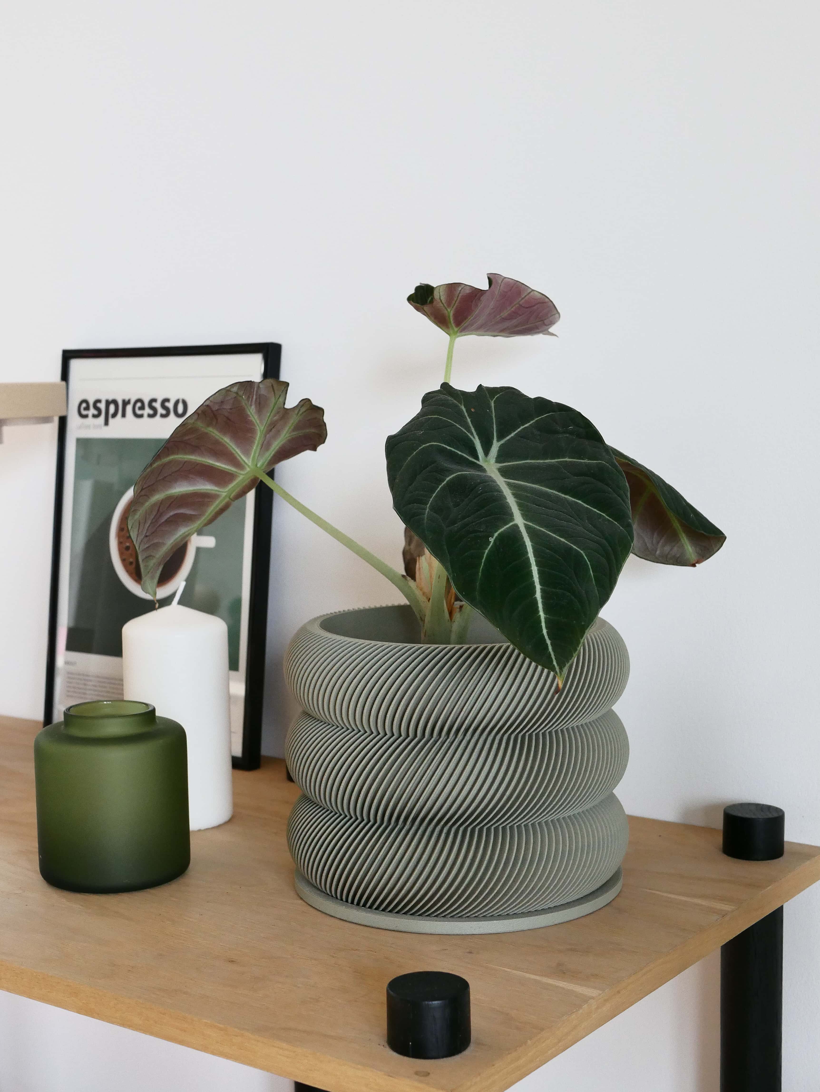 Unique wooden planter textured Kaki - Minimum design #color_olive