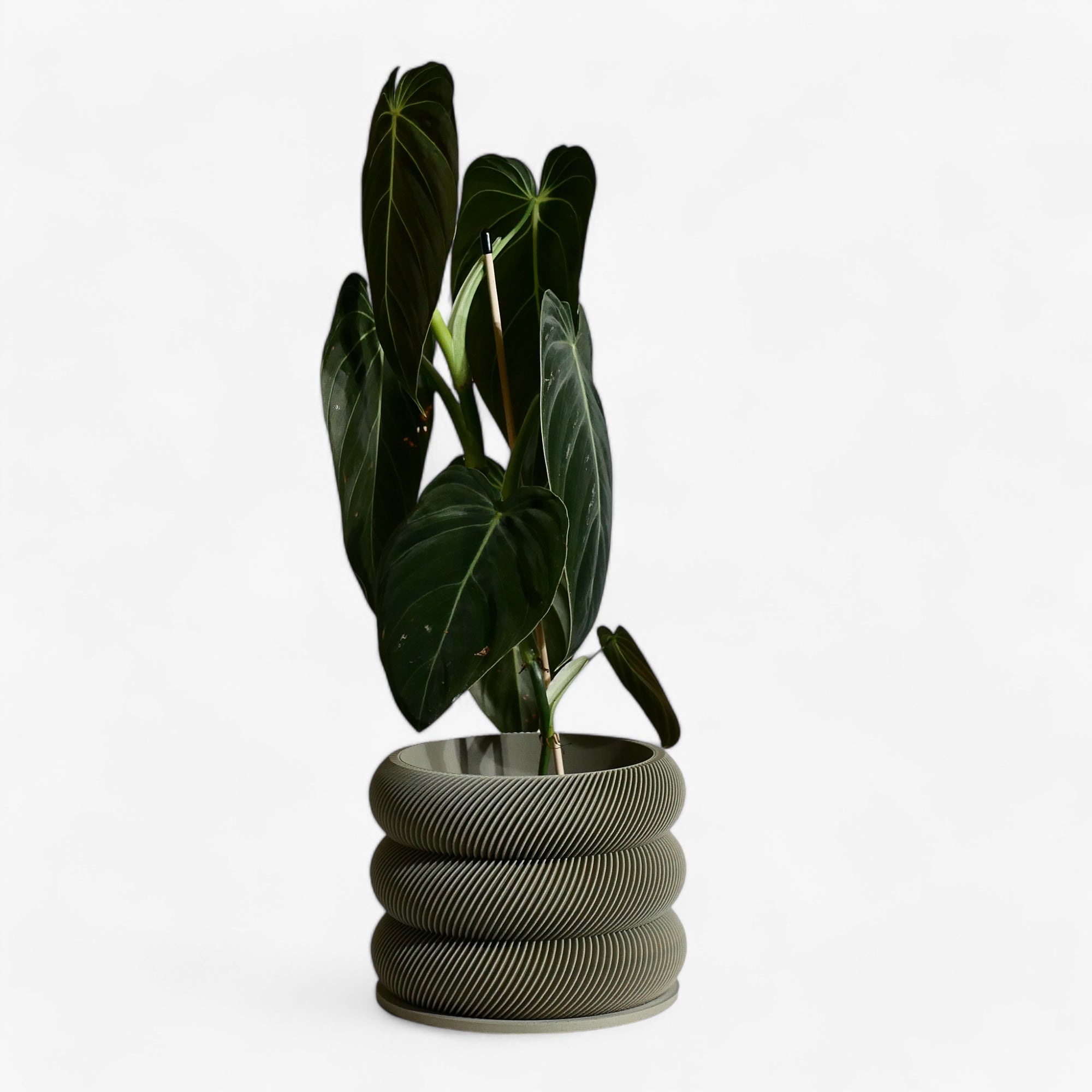 Unique wooden planter textured Kaki - Minimum design #color_olive