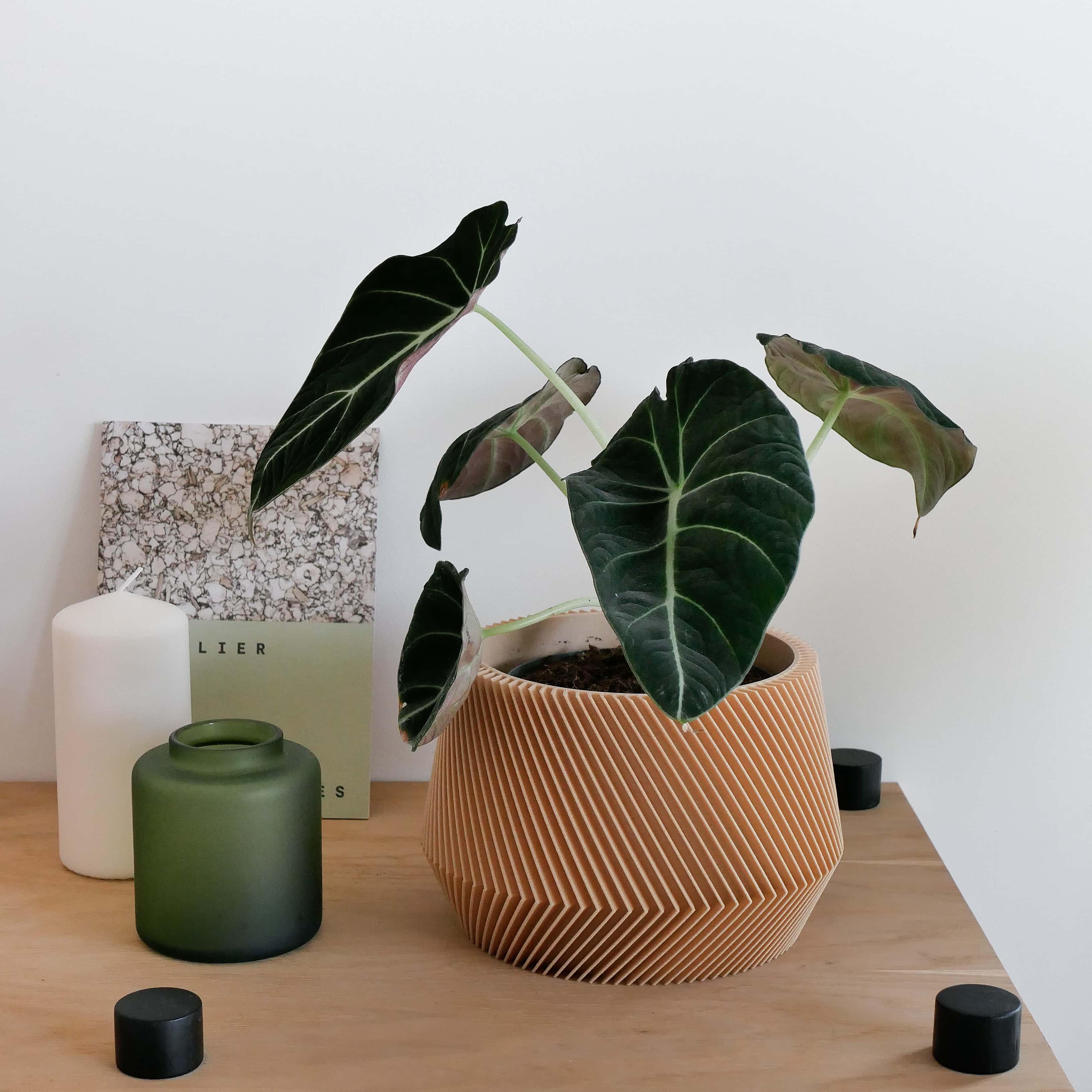 Beige Sslo plant pot with plants, on a shelf, perfect for scandinavian decor #color_natural