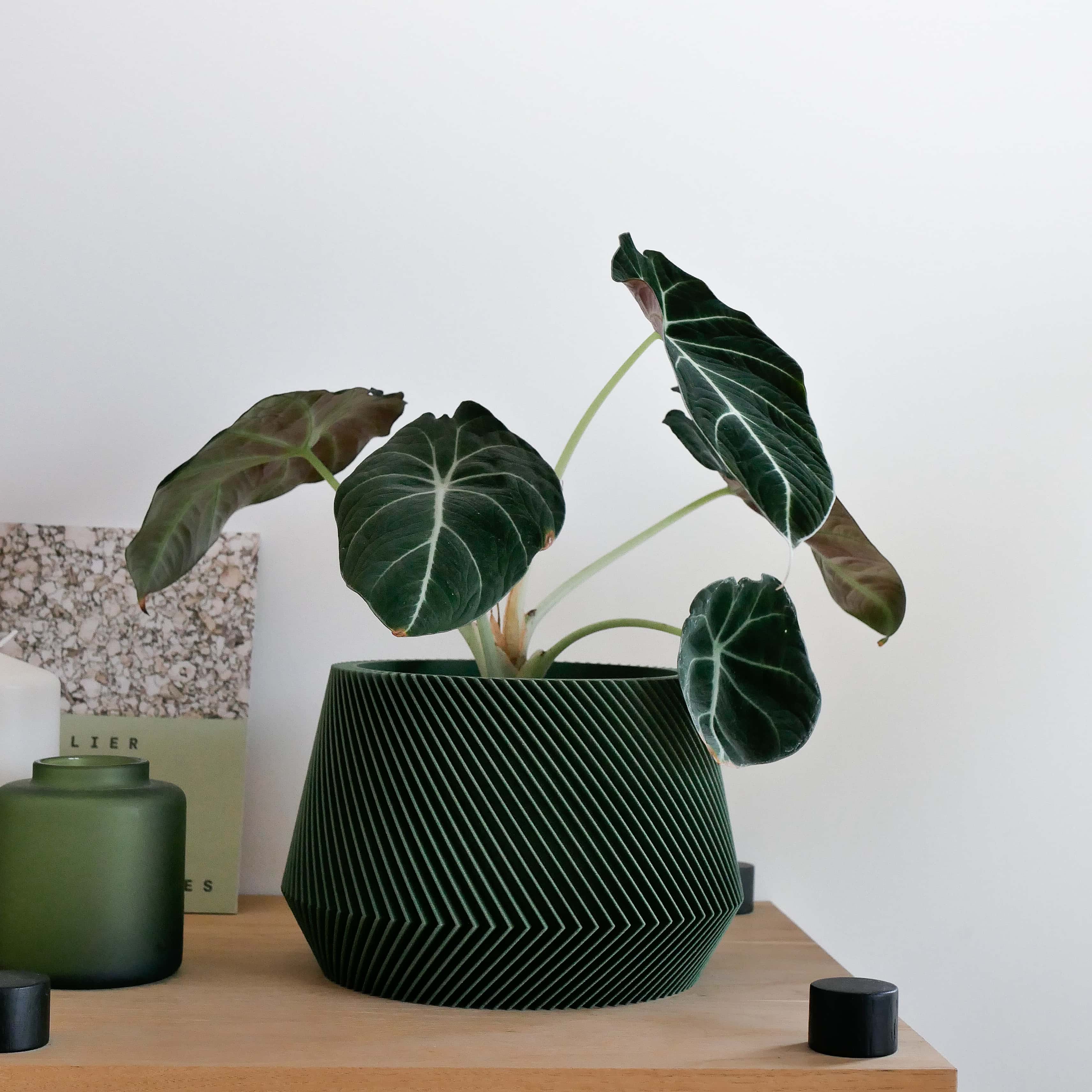 Green Oslo Indoor wooden planter - Scandinavian Japandi decor - Minimum design #color_green