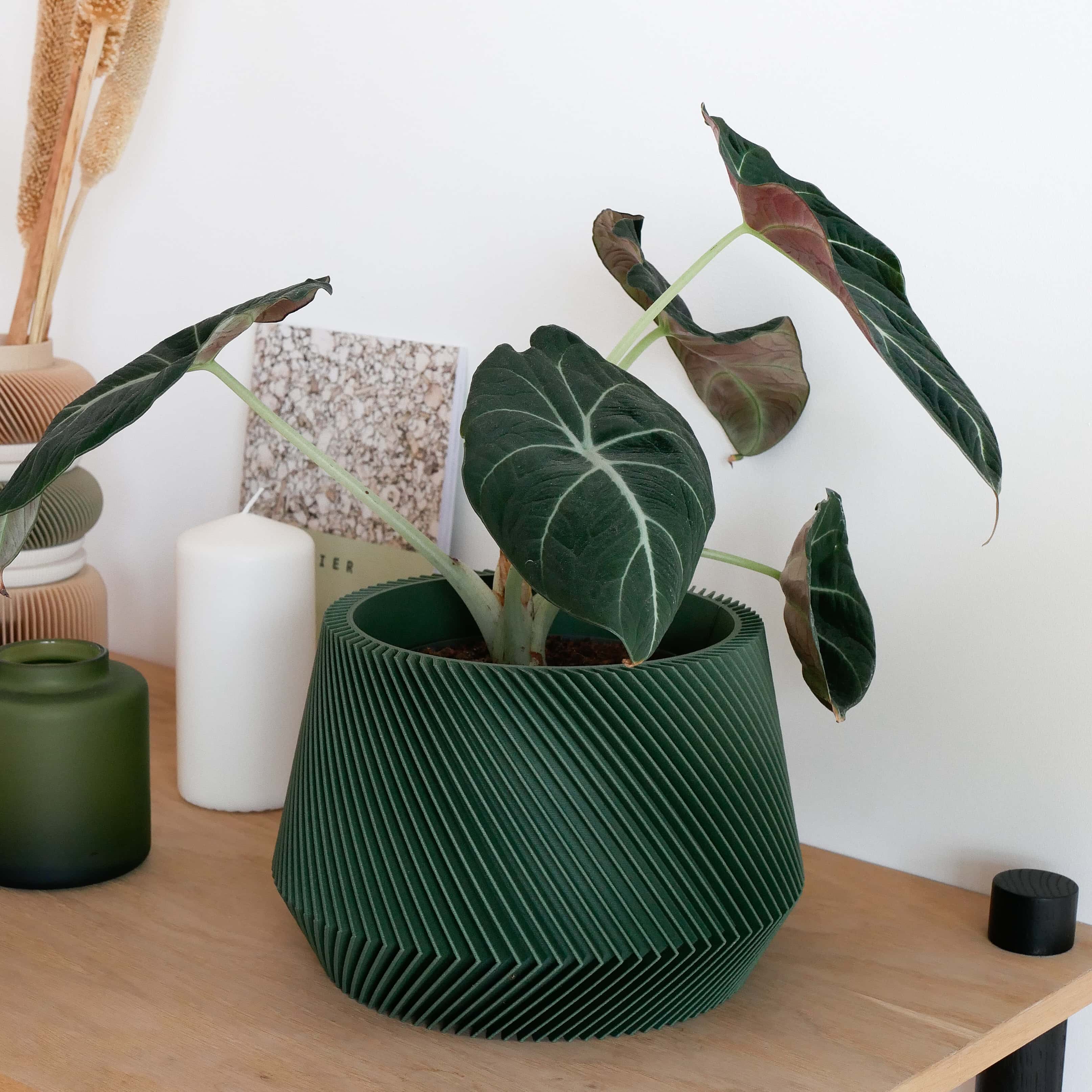 Grren Oslo plant holder perfect for house plant such as alocasia - Scandinavian Japandi decor - Minimum design #color_green