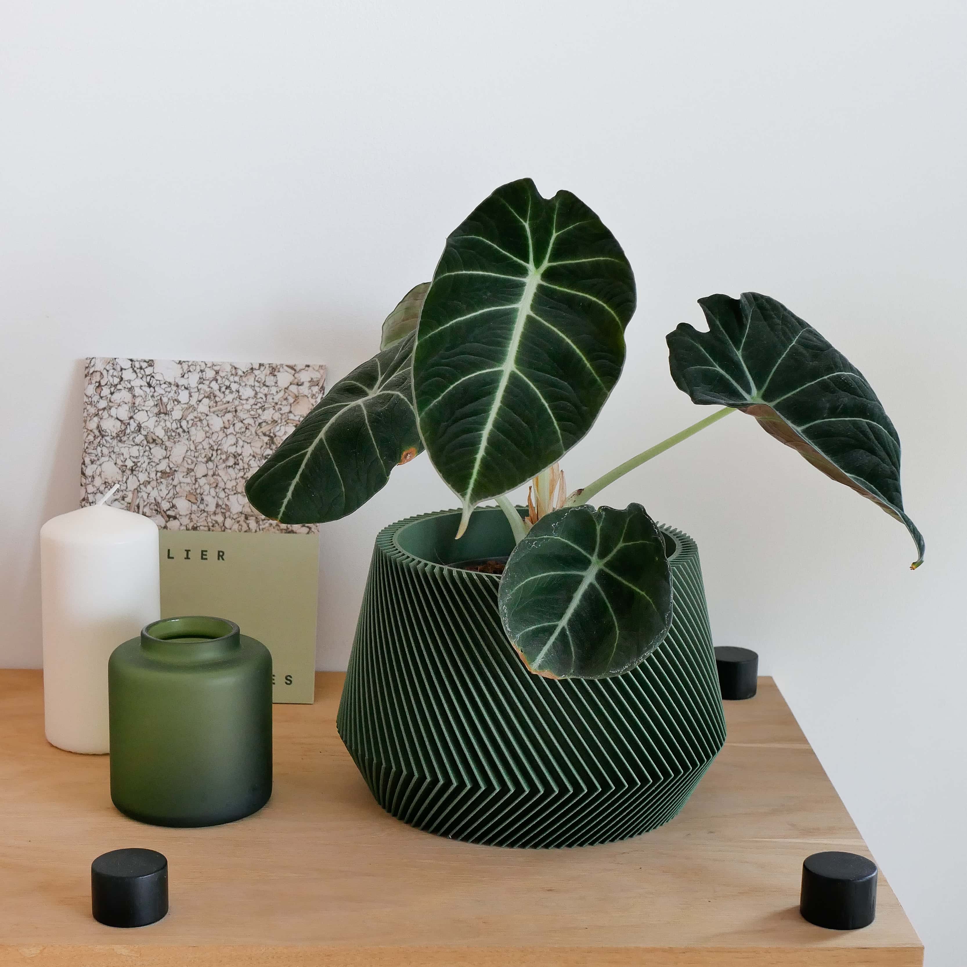 Oslo Indoor wooden planter - Geometric and minimalist wood decor- Minimum design #color_green