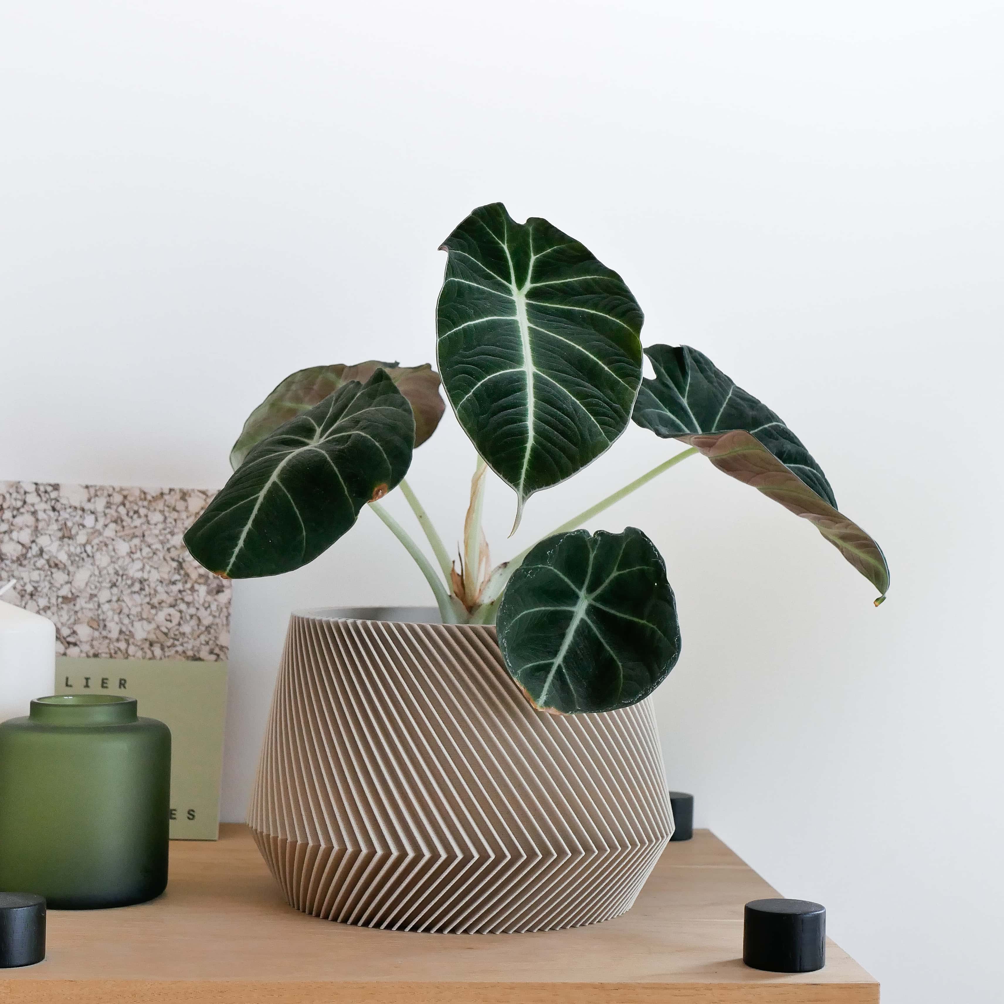 Off-white - Oslo Indoor wooden planter - Scandinavian Japandi decor - Minimum design #color_mist white