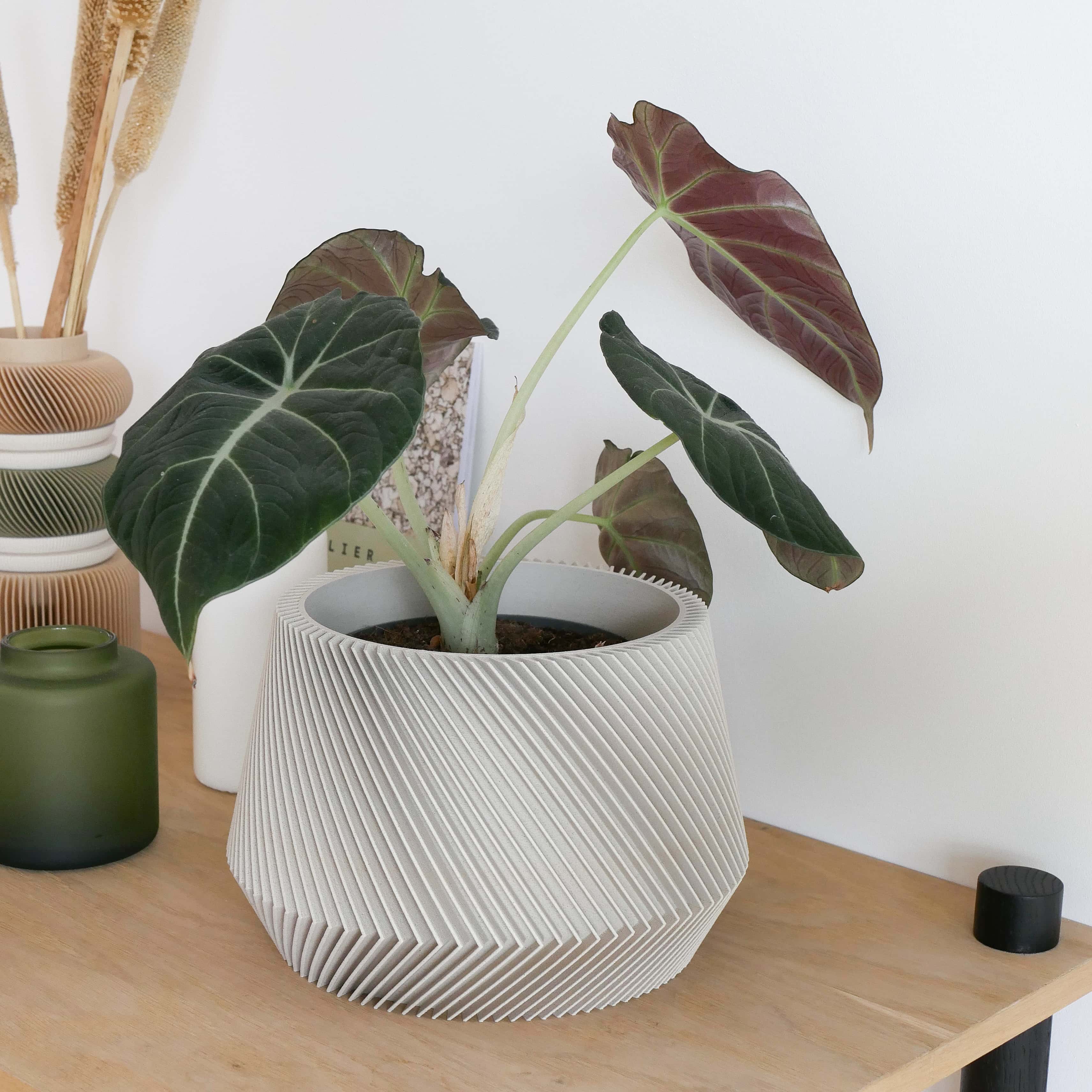 Focus on the white Oslo Indoor wooden planter - Scandinavian Japandi decor - Minimum design #color_mist white