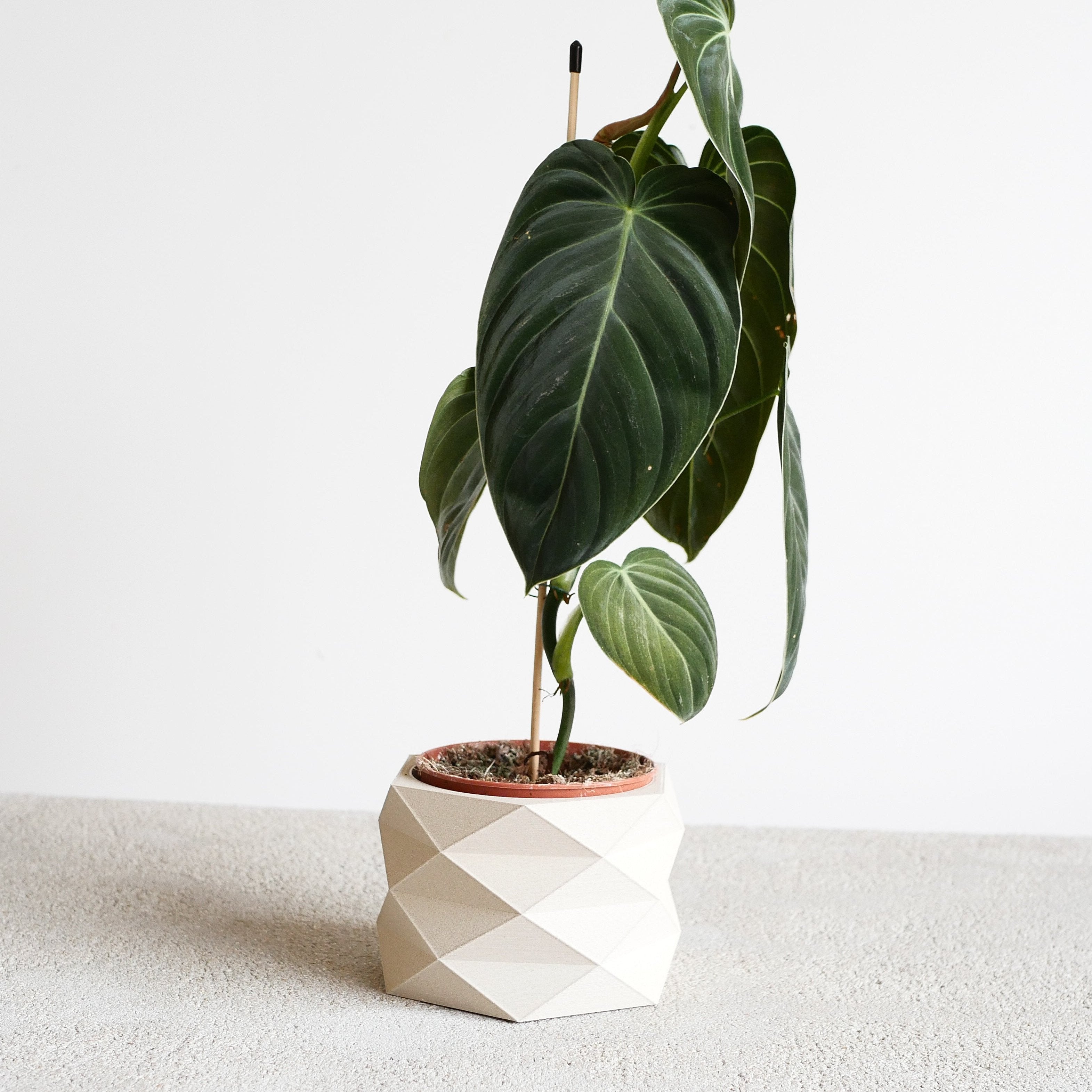 Wooden indoor planter - Minimum design - #color_Mist White