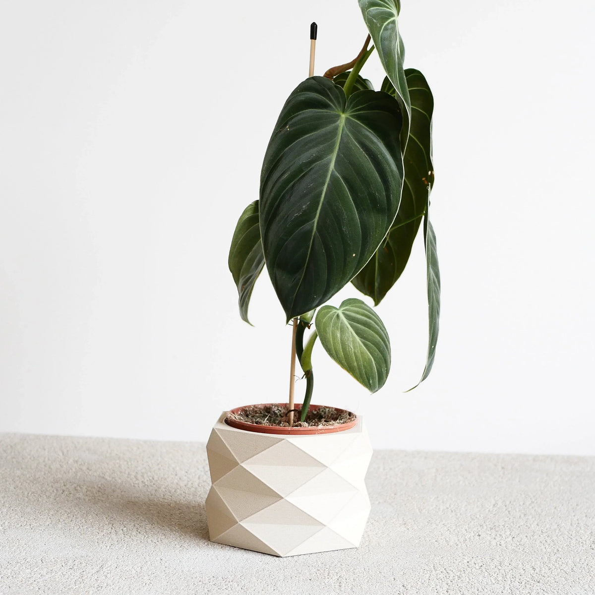 Wooden indoor planter - Minimum design - #color_Mist White