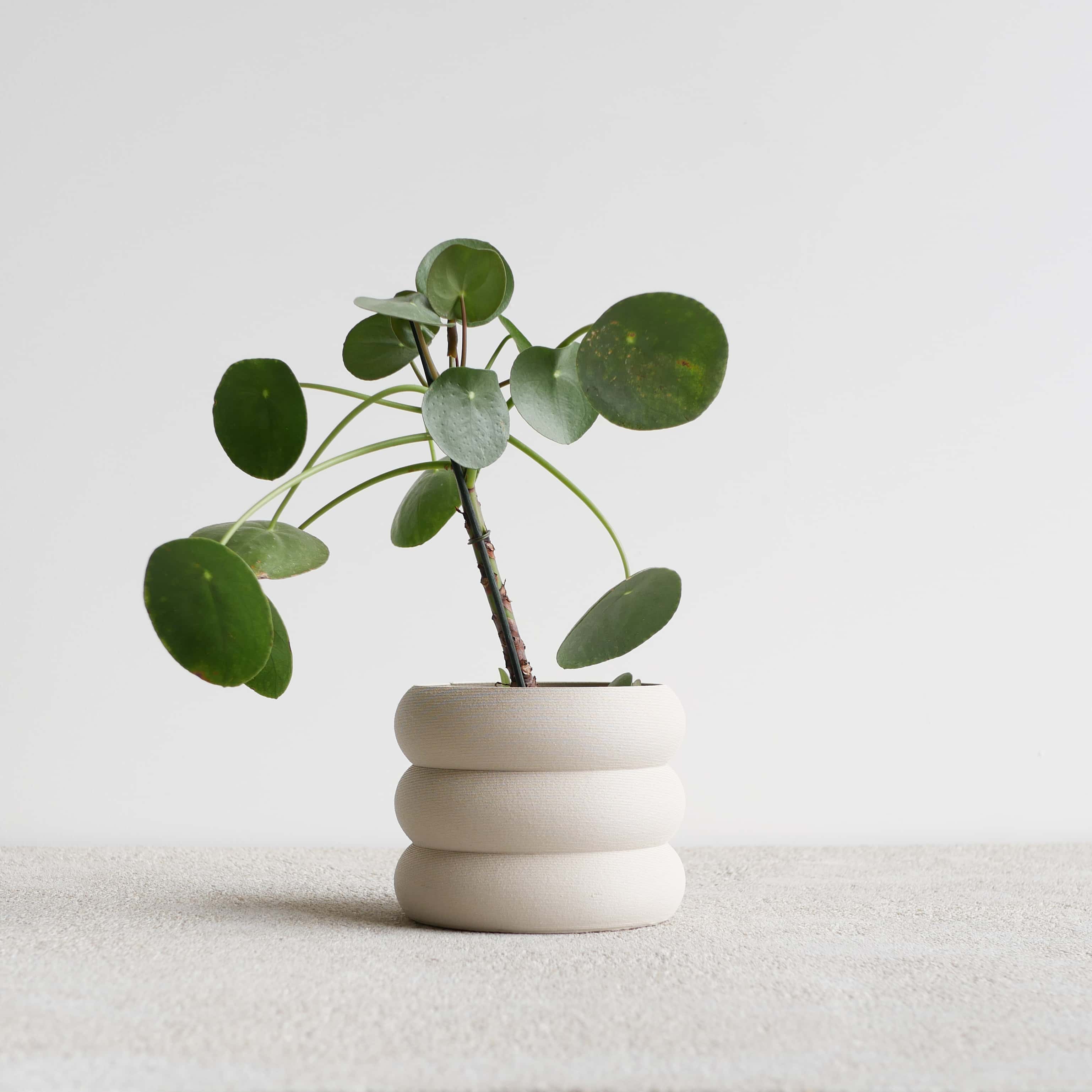 eden-plant-pot-succulents-white #color_Mist white