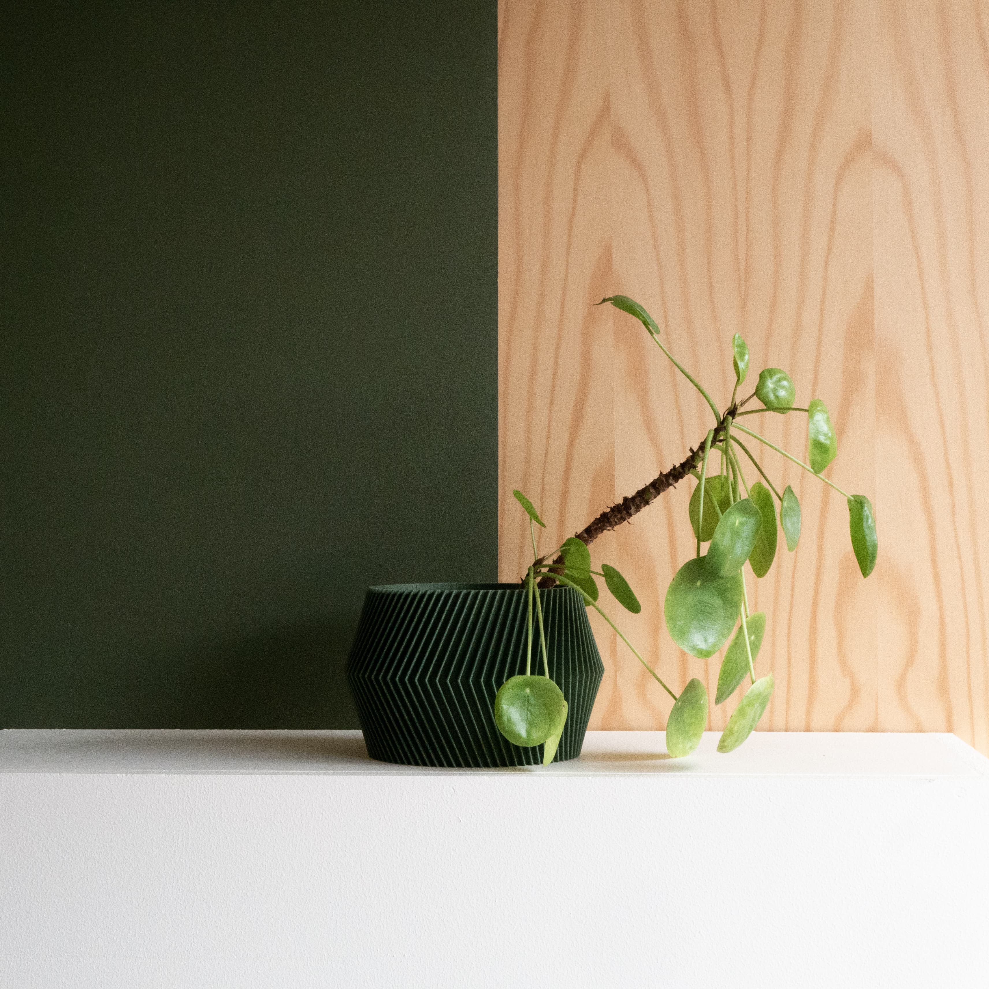 Green DISSIPAT Indoor Planter - Minimum Design #color_green