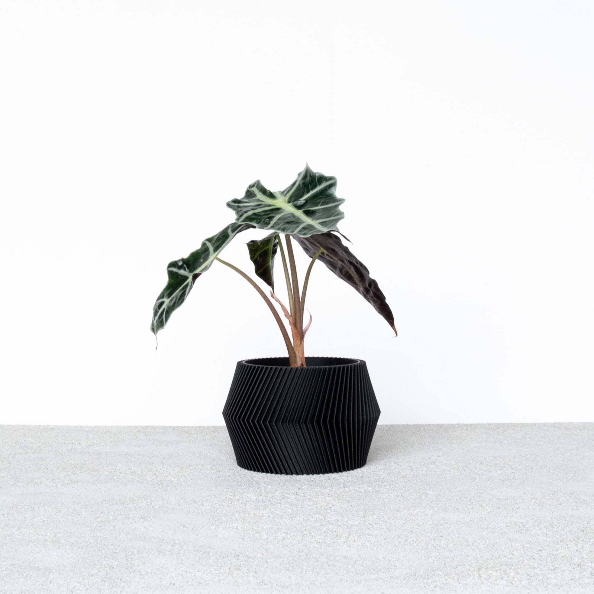 Black DISSIPAT Indoor Planter - Minimum Design #color_black