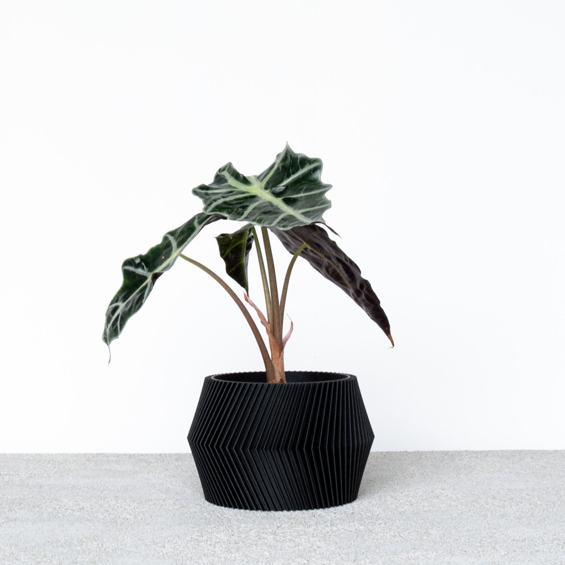 DISSIPAT Indoor Planter - Minimum Design #color_black