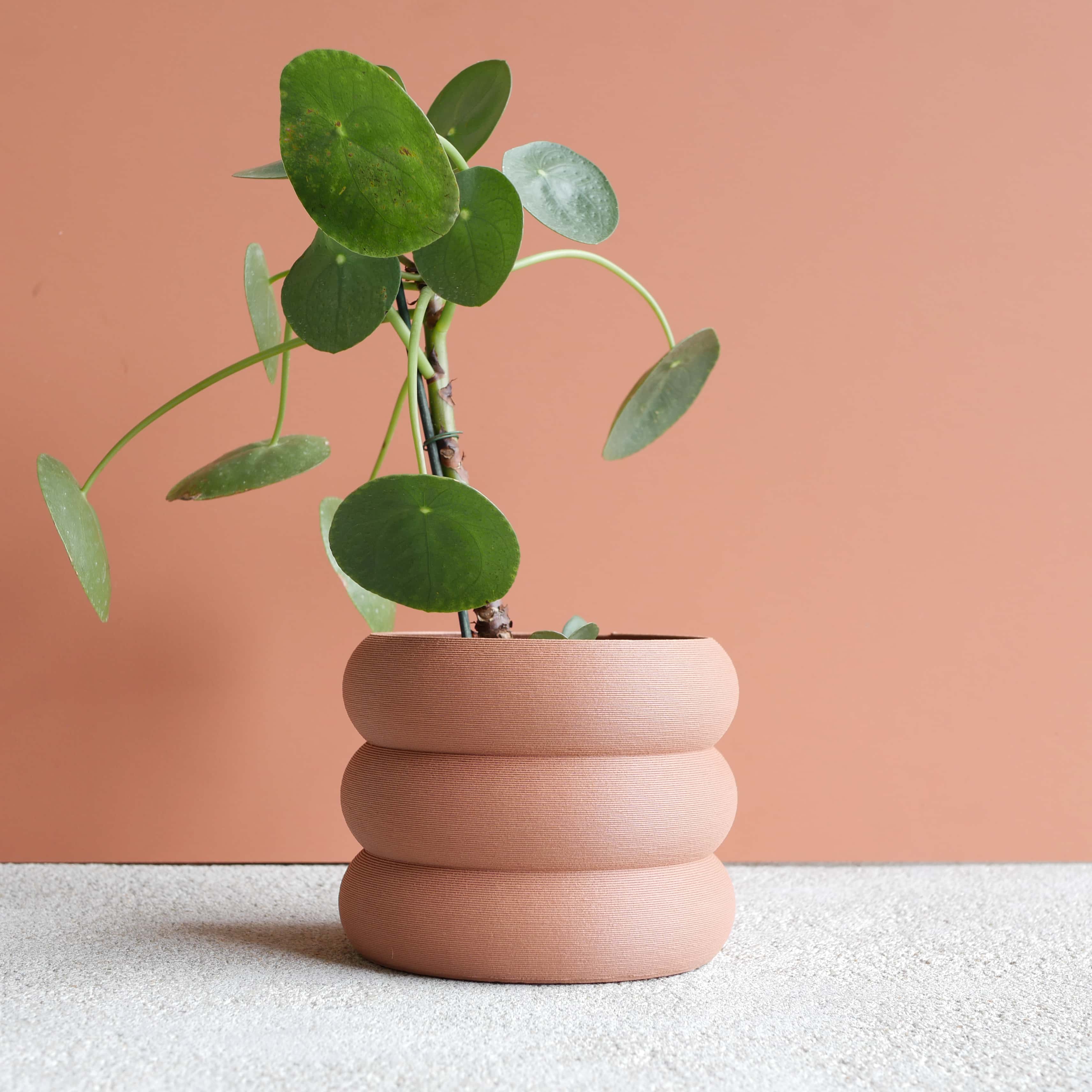 Eden Vase #color_terracotta