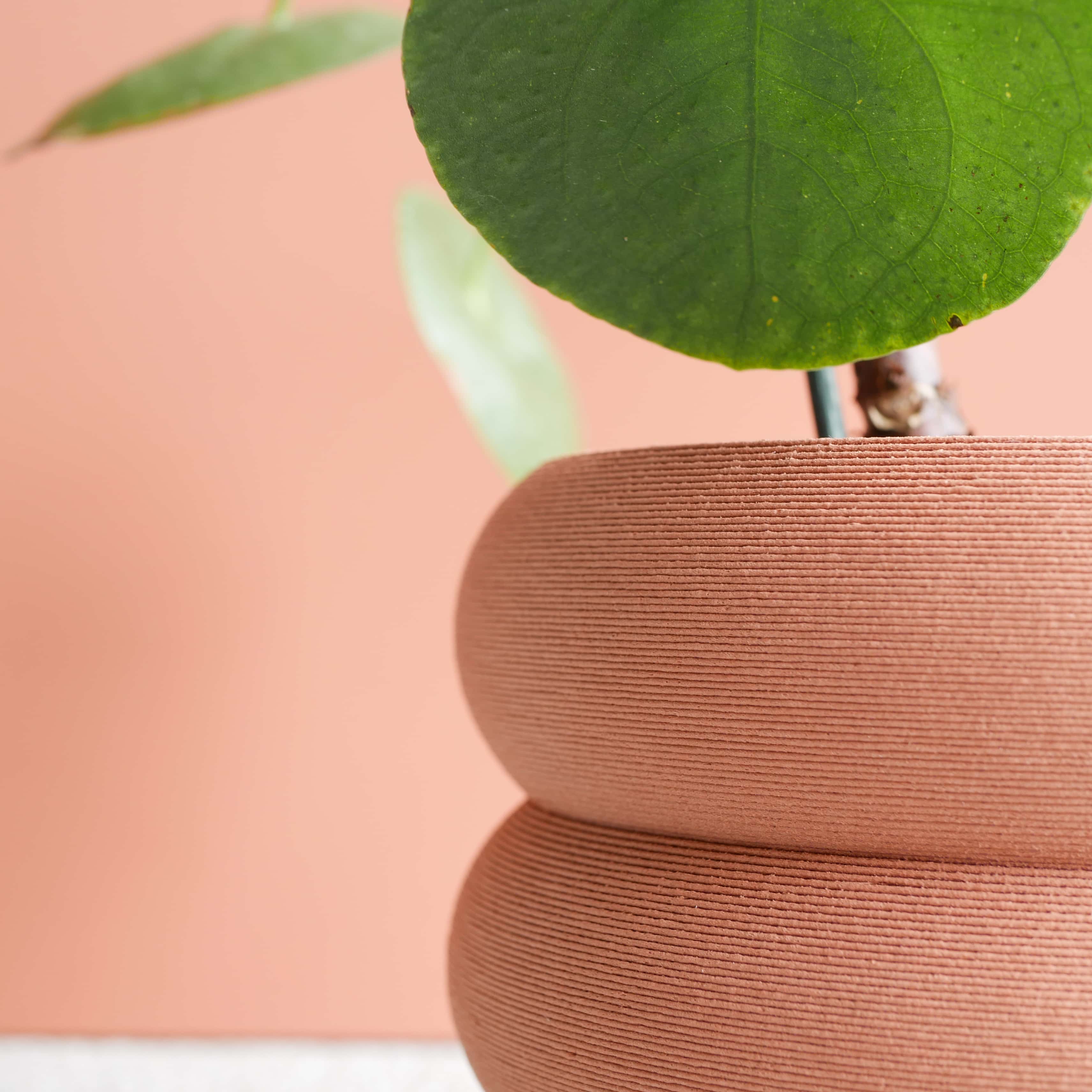 Eden Vase #color_terracotta