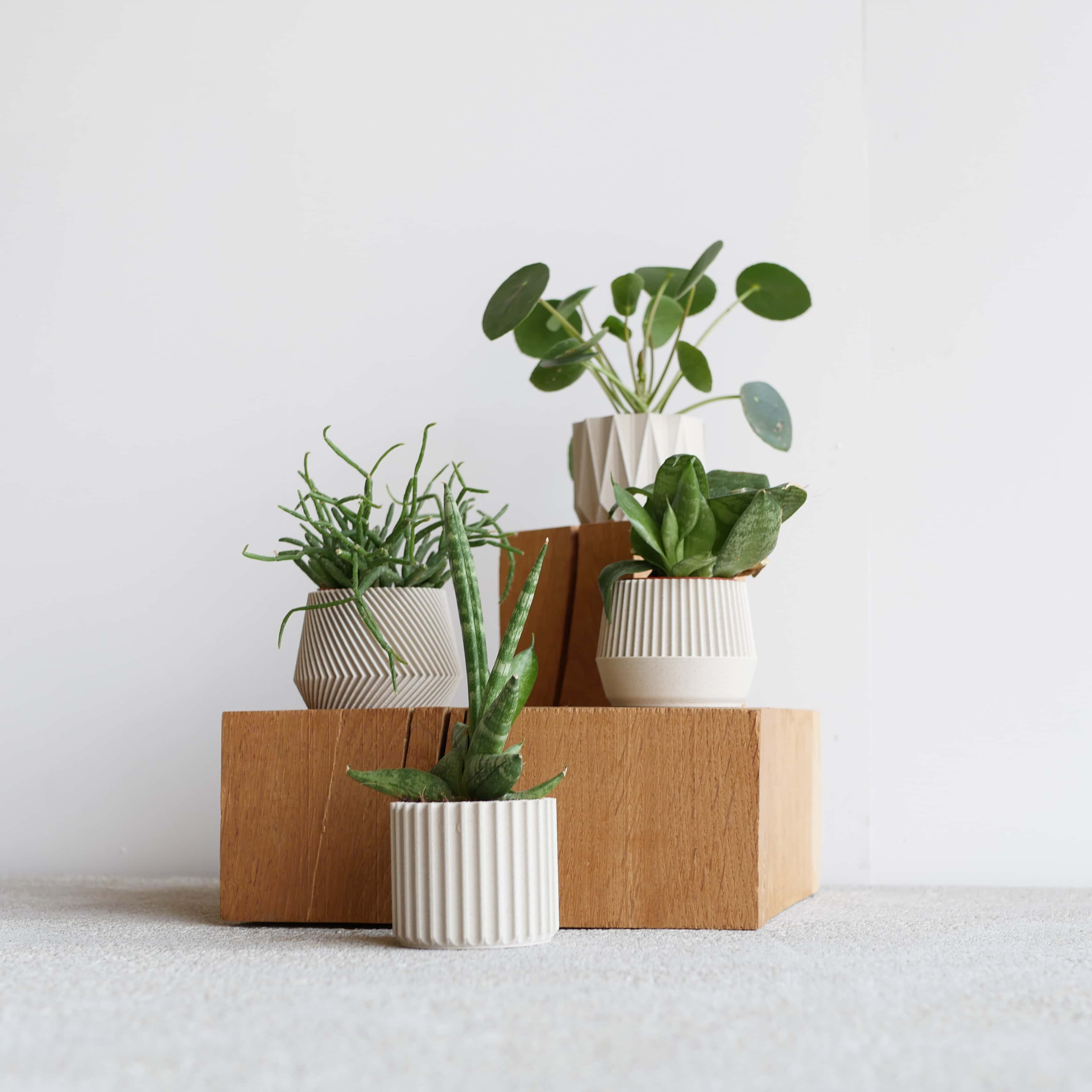 Set of 4 planter Oslo Kobe Stockholm Origami #color_mist white
