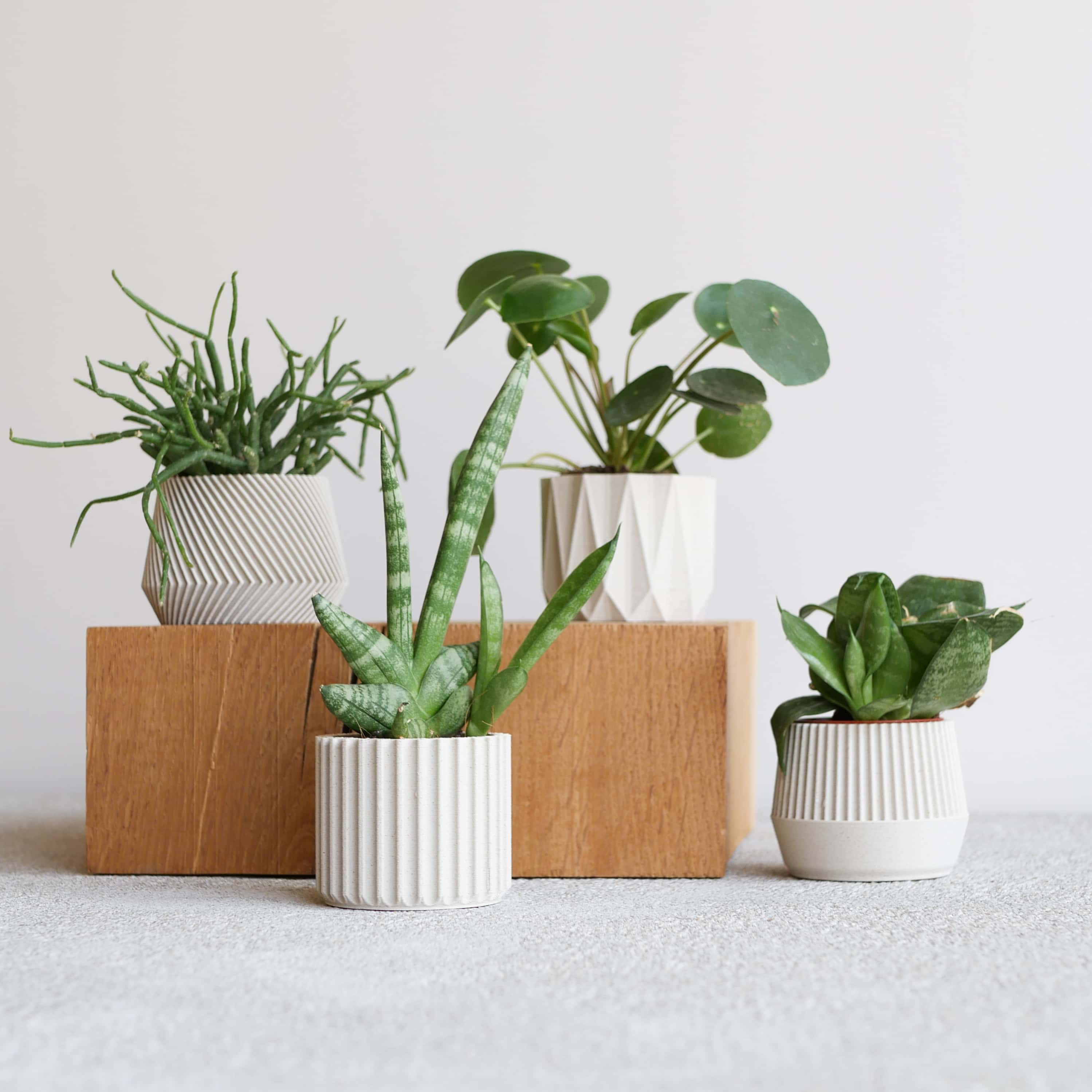 Set of 4 planter Oslo Kobe Stockholm Origami #color_mist white