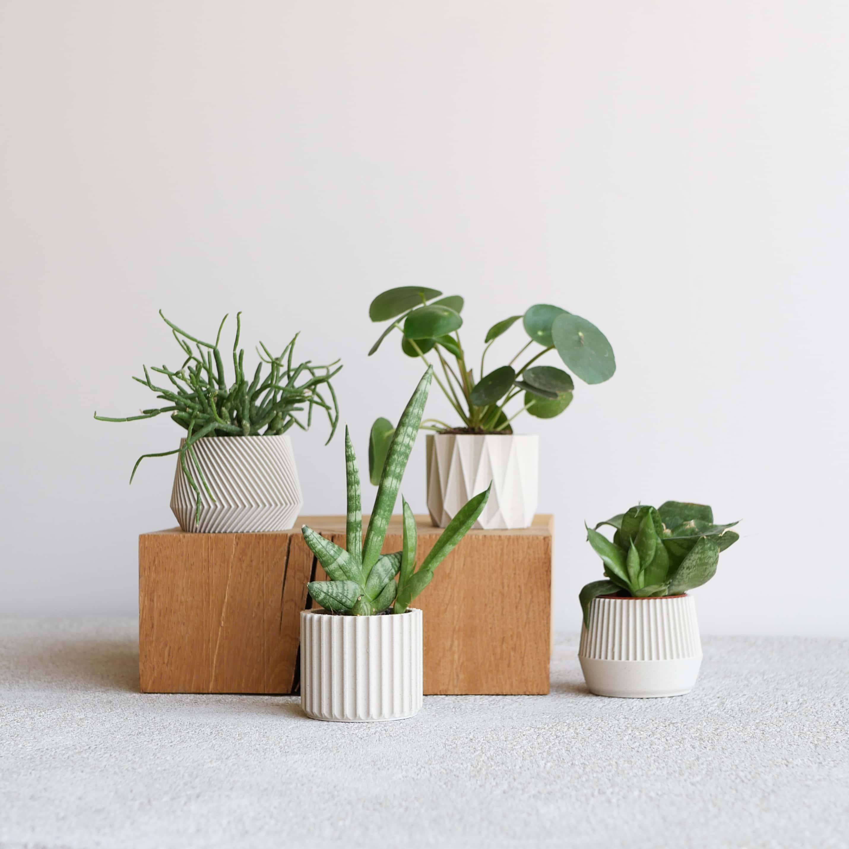 Set of 4 planter Oslo Kobe Stockholm Origami #color_mist white