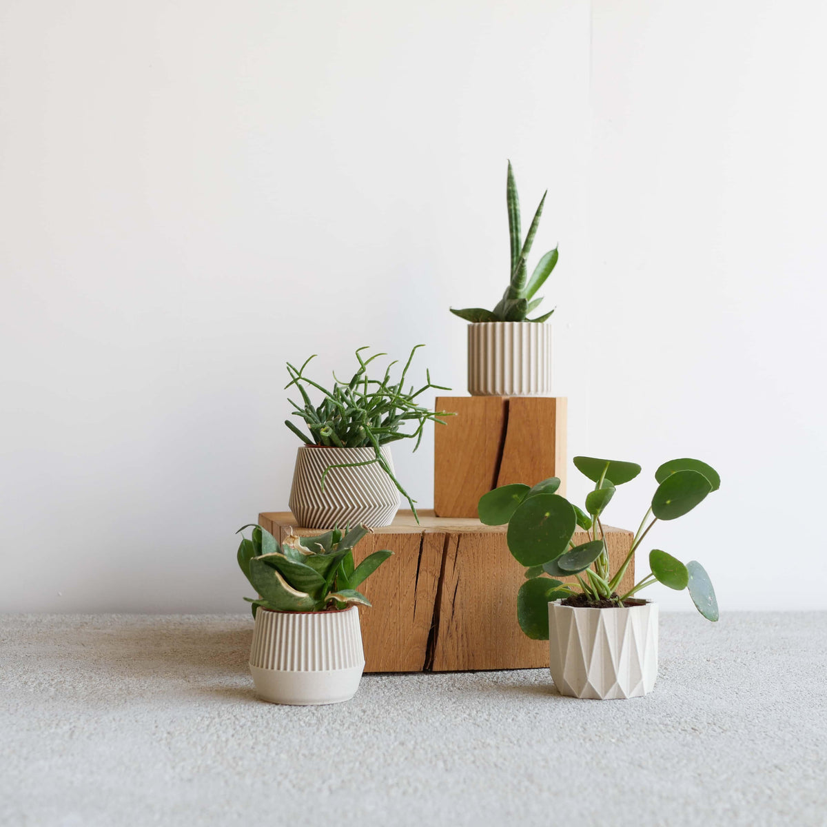 Set of 4 planter Oslo Kobe Stockholm Origami #color_mist white