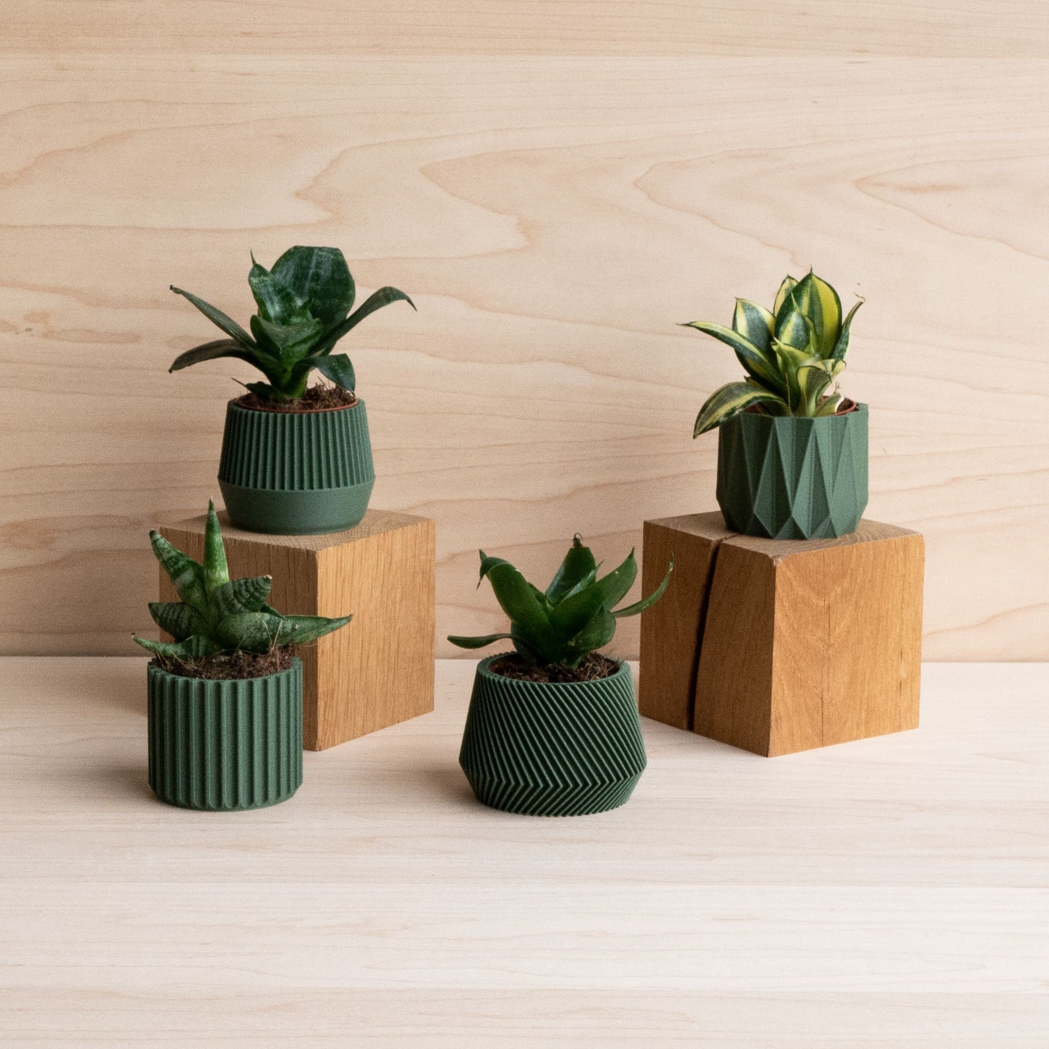 Set of 4 planter Oslo Kobe Stockholm Origami #color_Green
