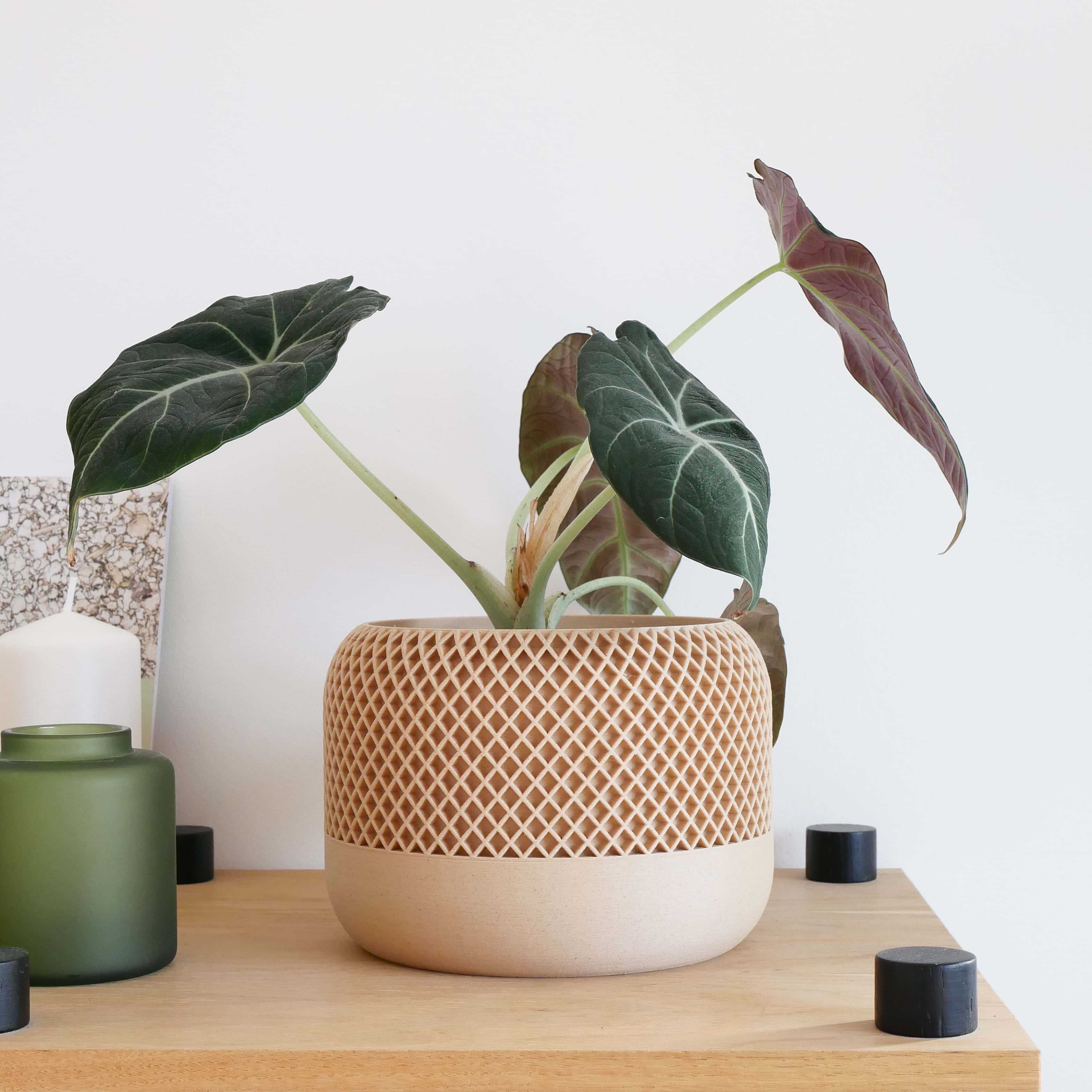 Geometric wood indoor planter APPLE on a shelf, with a plant #color_Natural