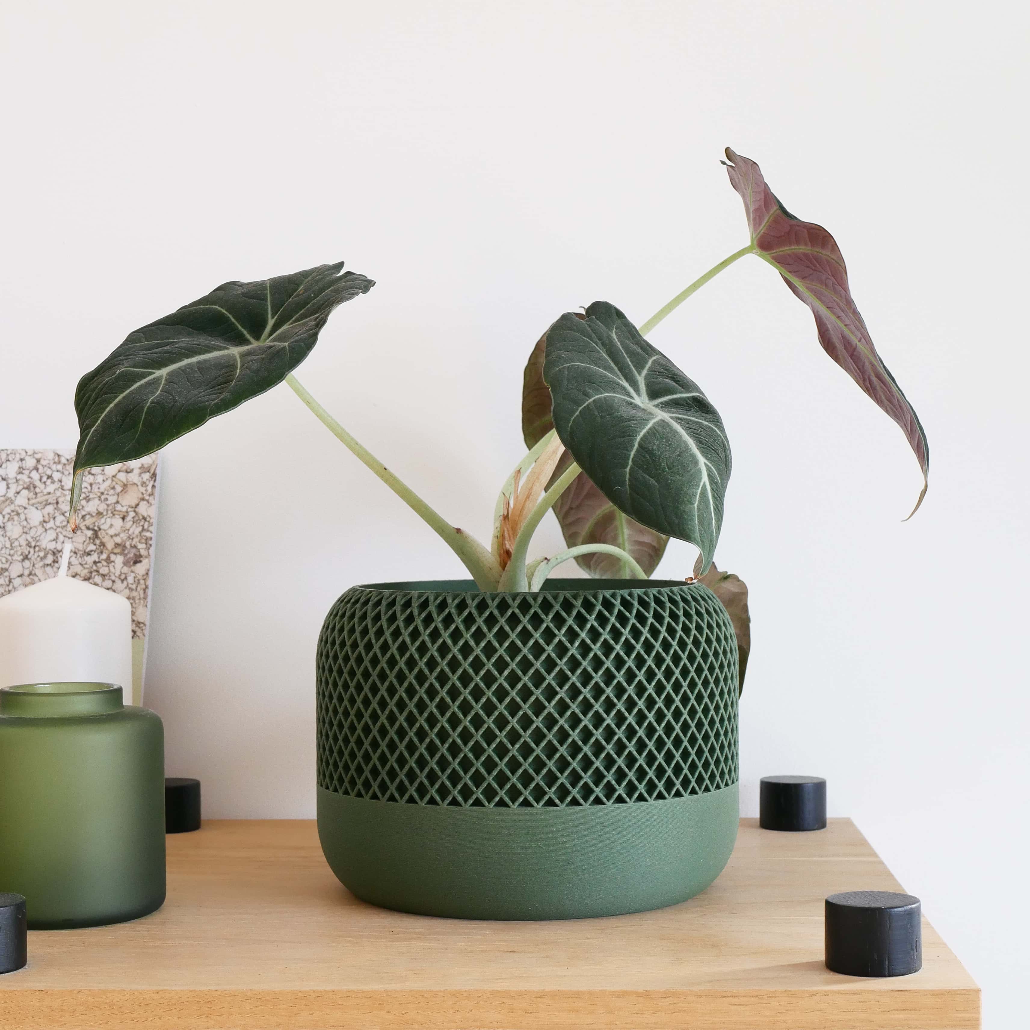 Green plant cover, textured and geometric planter, unique and minimalist green color #color_Green