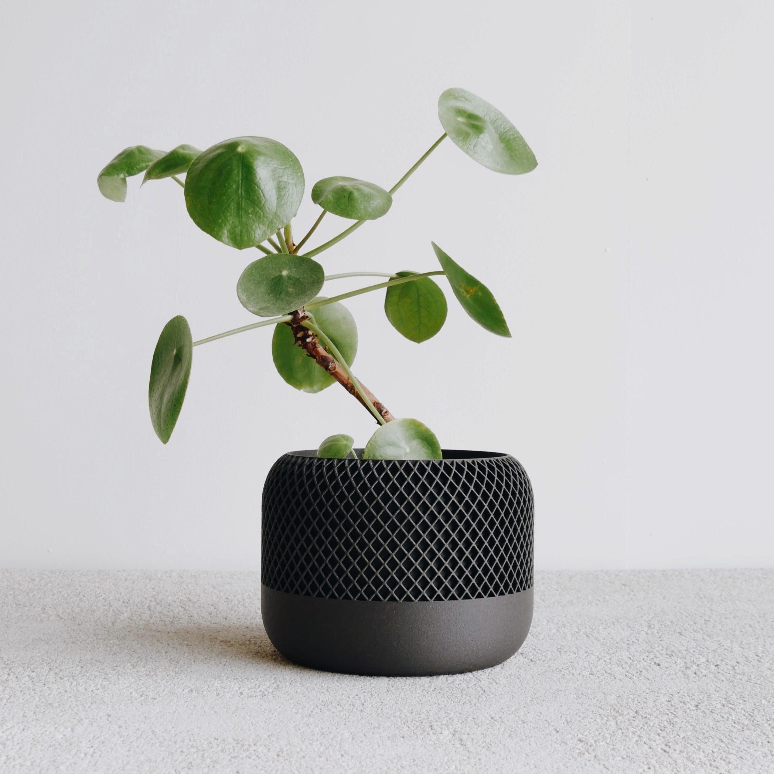 APPLE Large Indoor Planter - Minimum Design