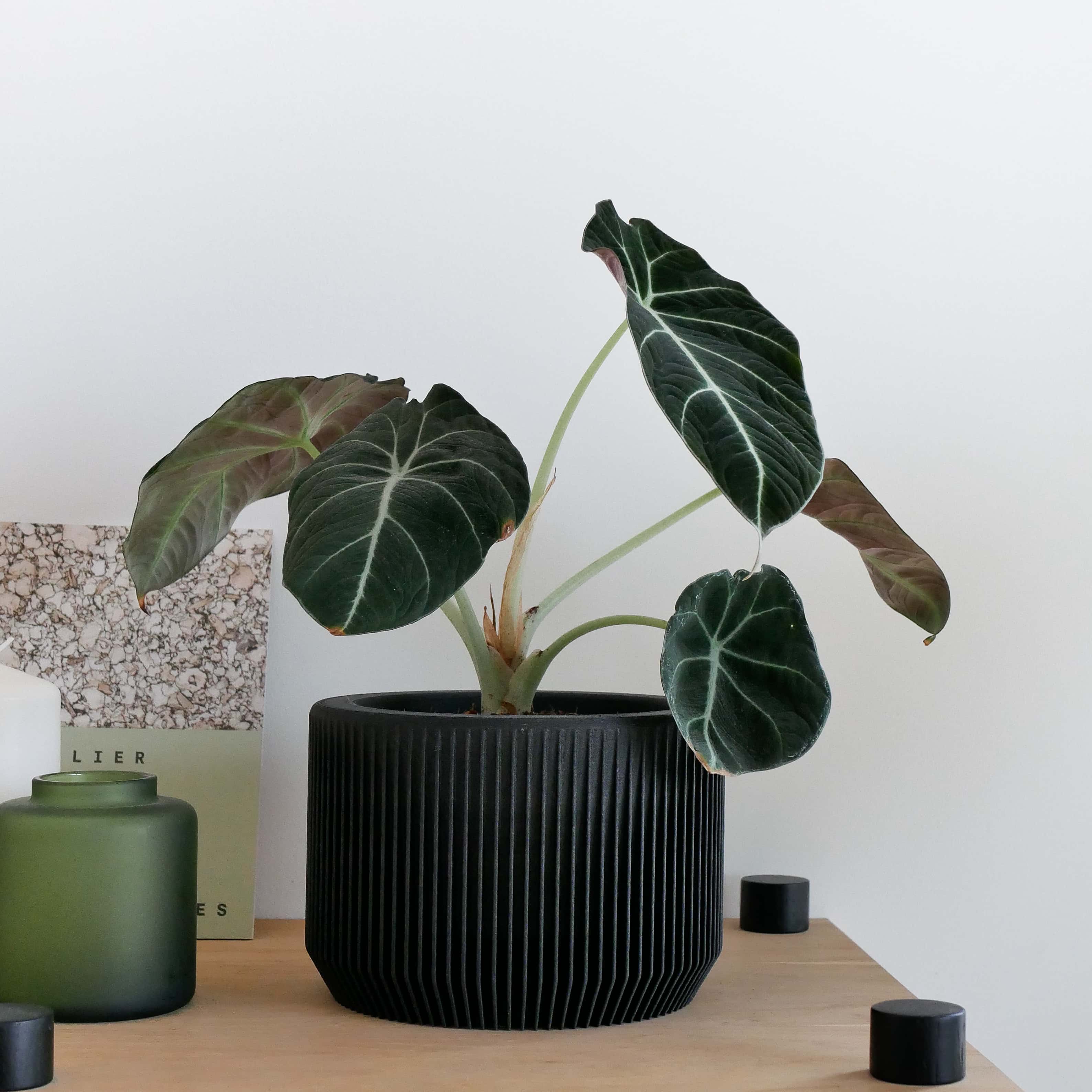 The black indoor planter PRAHA with a minimalist and unique texture #color_Black