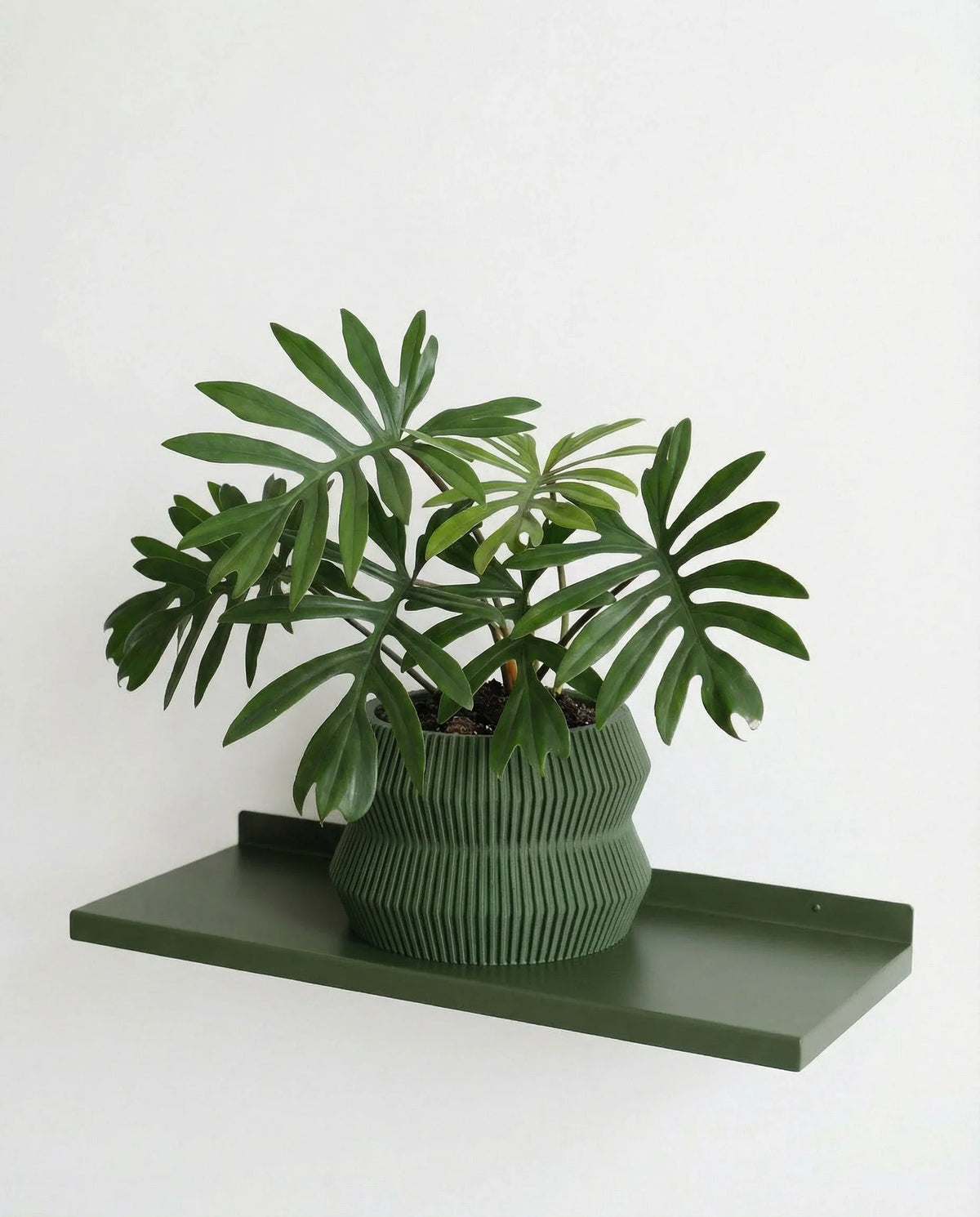 Jardinière ITO | Vert Forêt