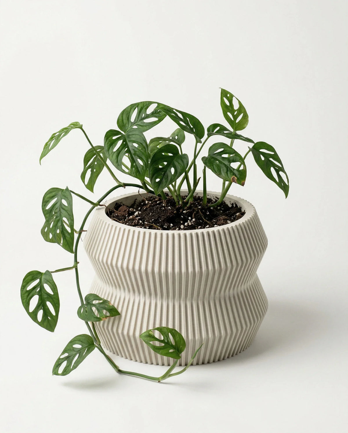 Textured off white pot on a white background