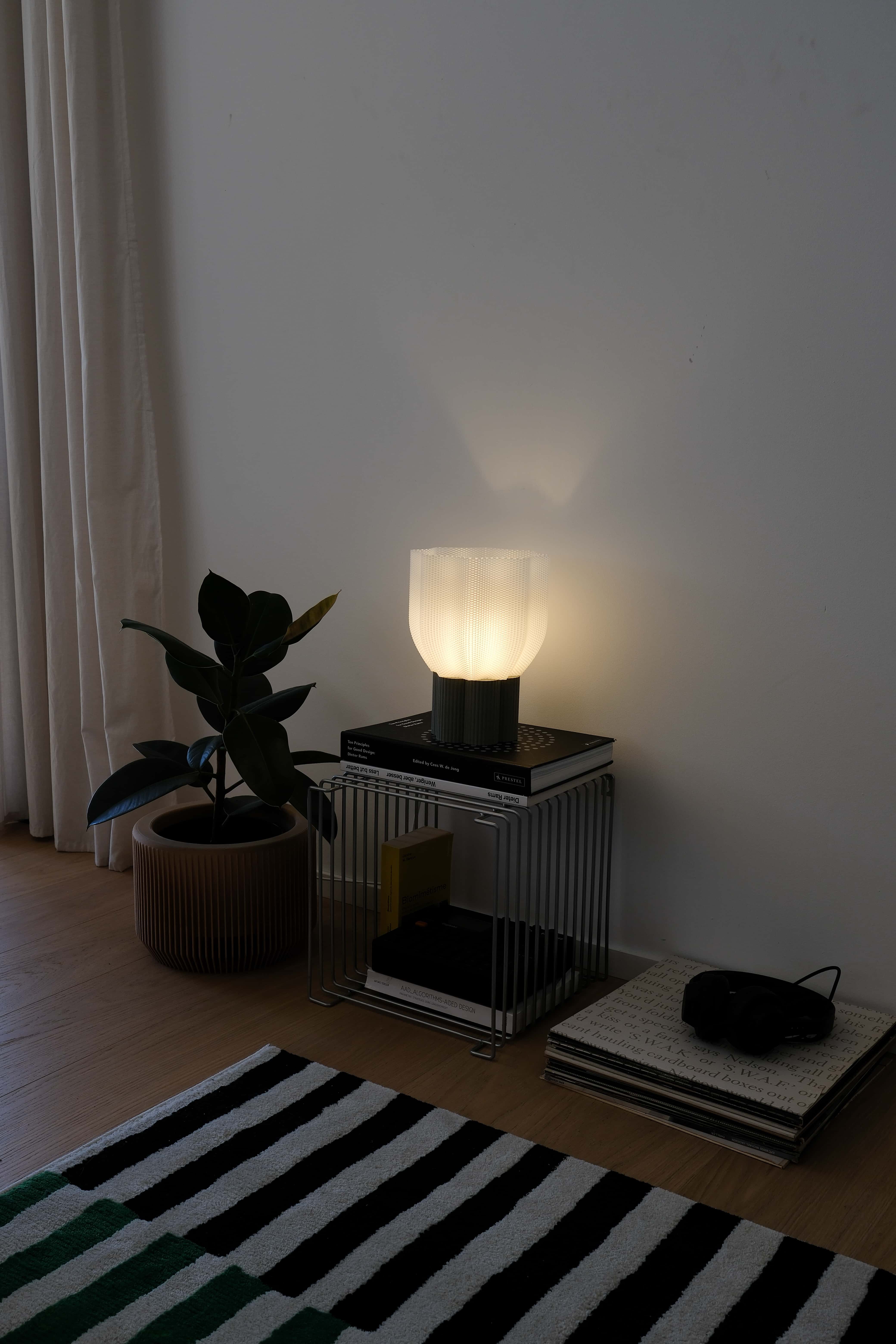 Bllom Lamp on a side table next to a plant and books in a dimly lit room.
