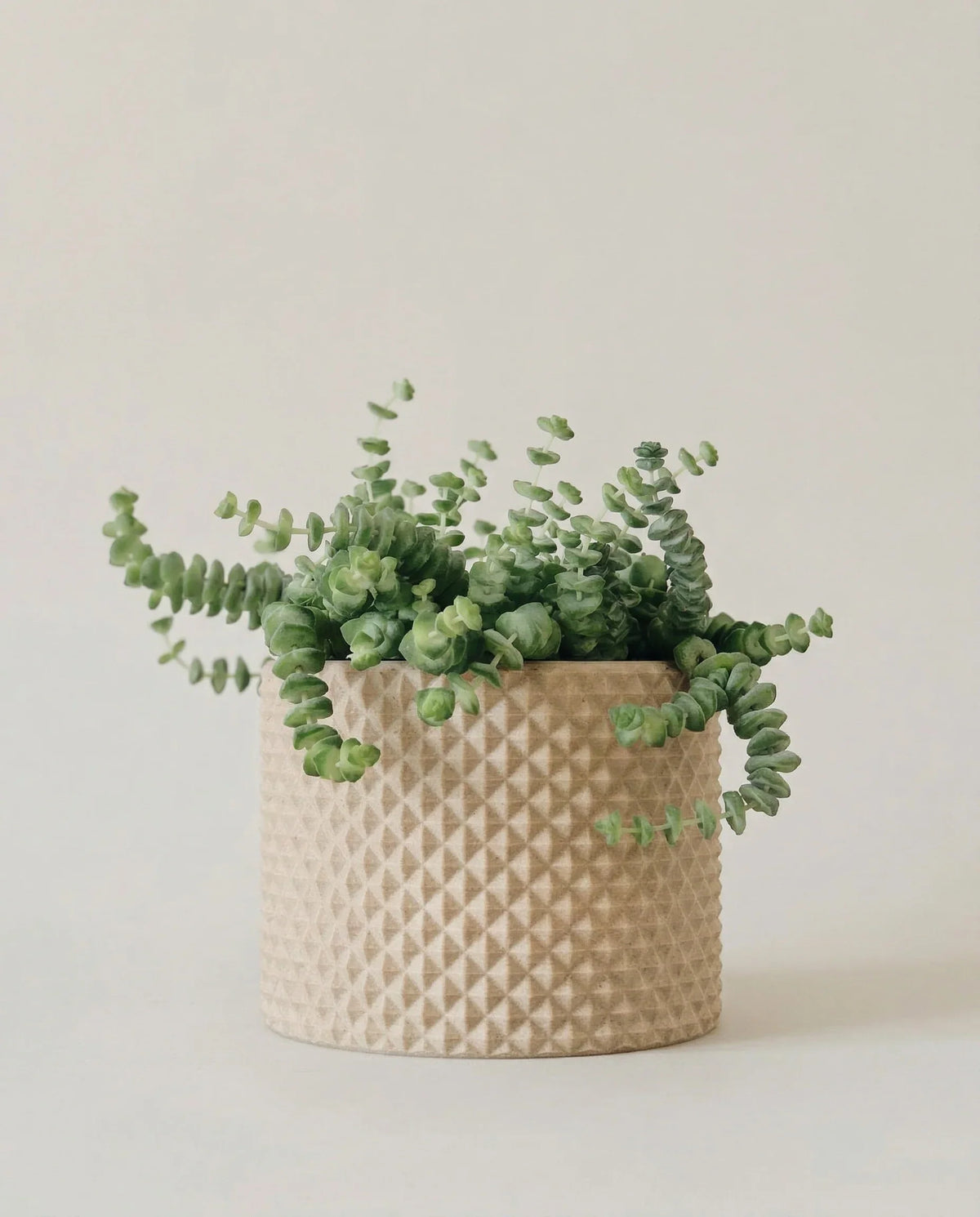 PIKO Indoor Planter