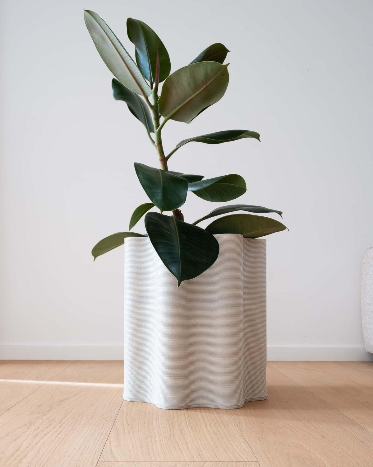 Minimalist home decor featuring a 29cm tall sculptural floor planter in a bright modern interior.