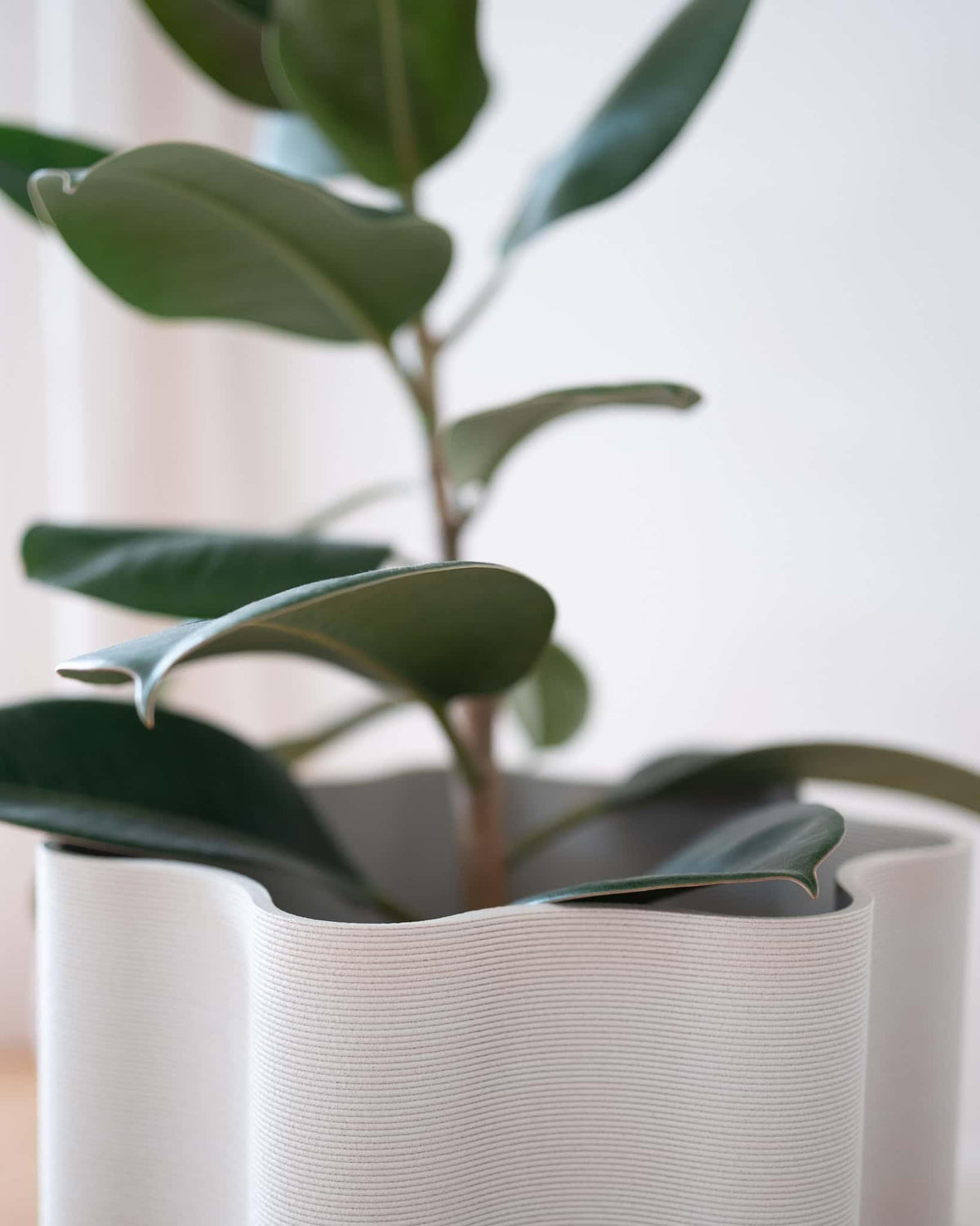 Close-up of the architectural wavy texture on the Rippled sustainable wood floor plant pot.