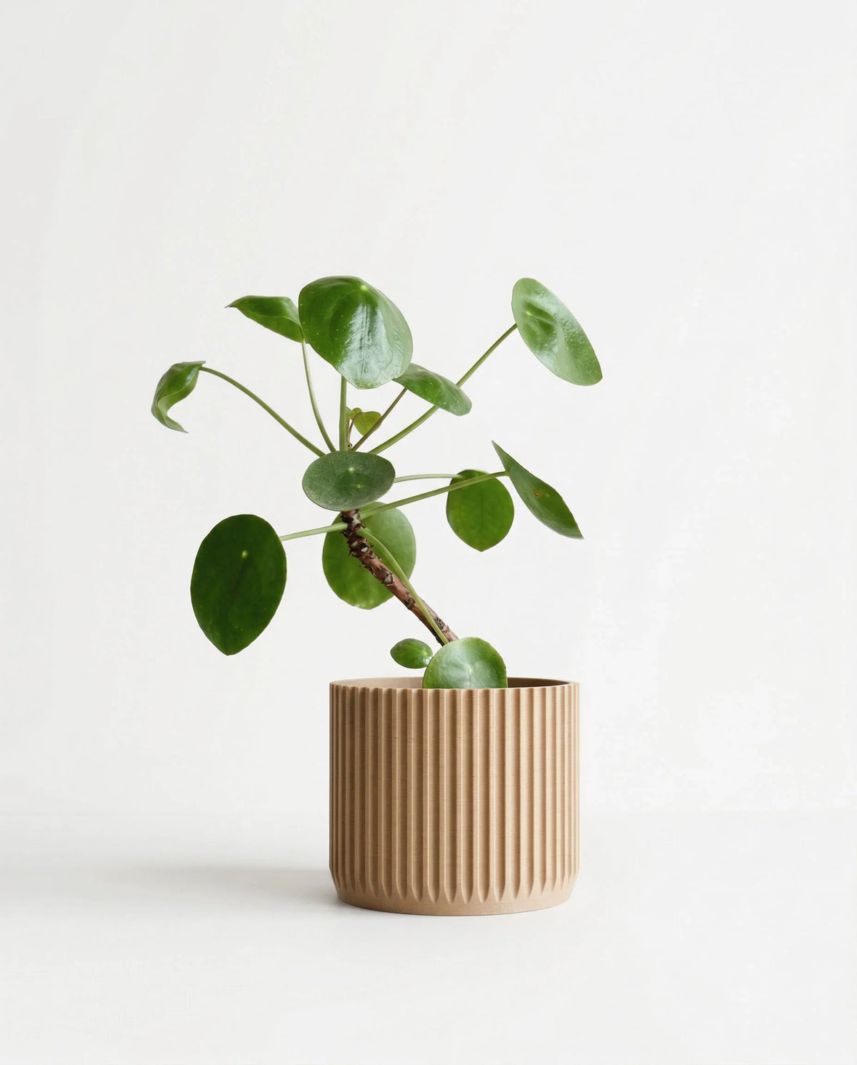 STOCKHOLM Indoor Planter