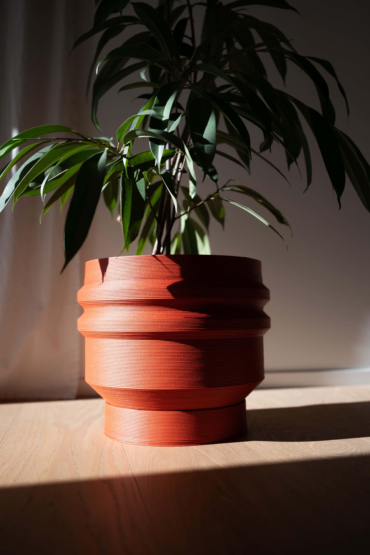 SYDNEY Wide planter in Terracotta Rust, featuring a unique stratified texture in natural sunlight. Crafted from heavy wood composite, shown with a lush green plant on a wooden floor.