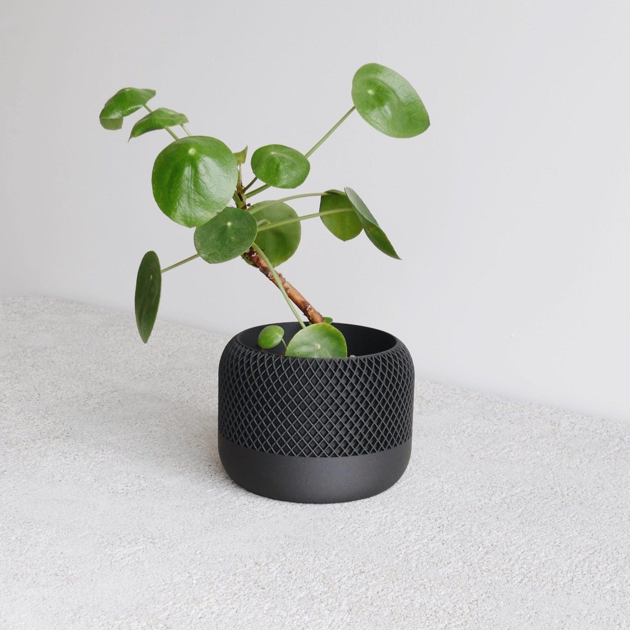 zoom on the APPLE Indoor Planter Black - Minimum Design #color_black