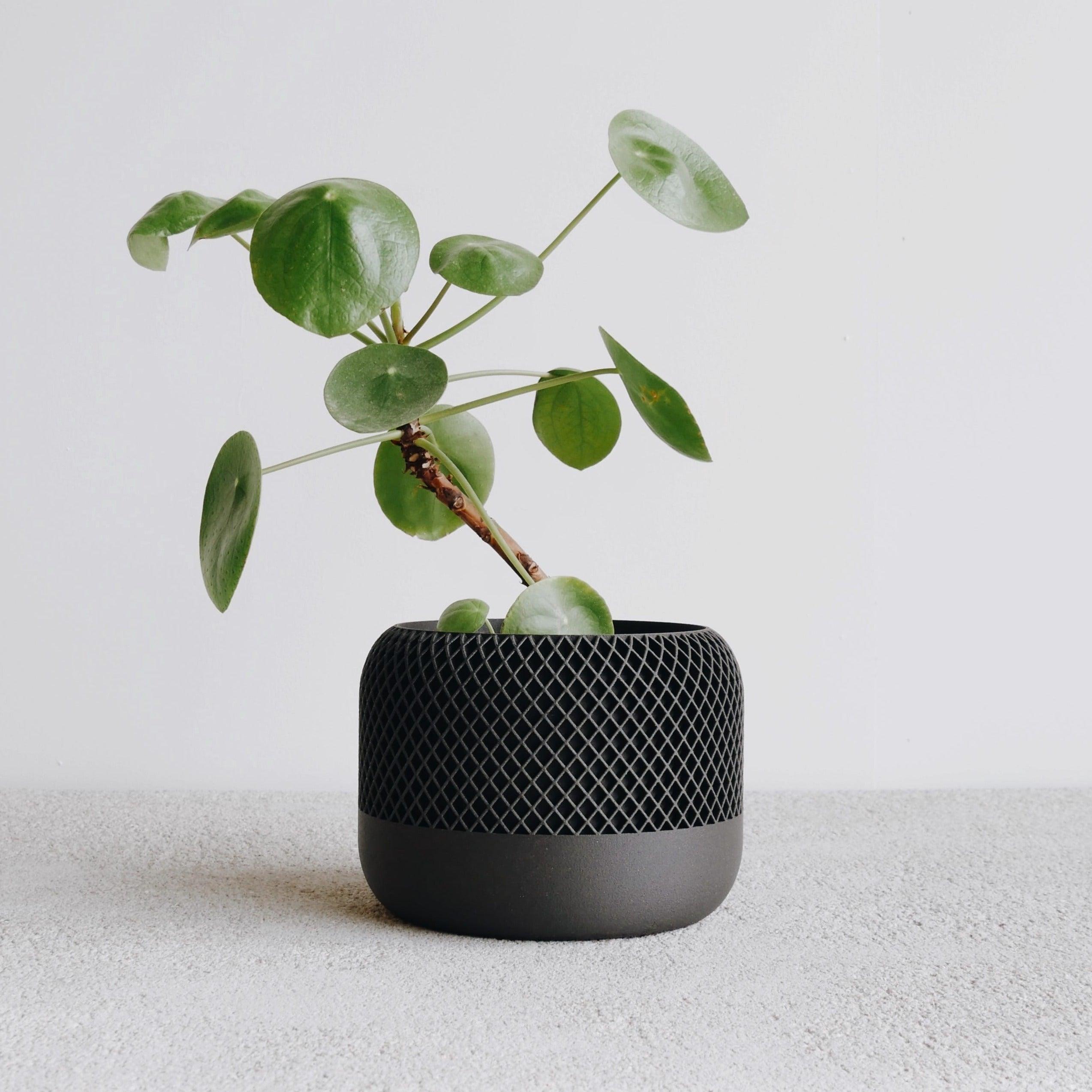 APPLE Indoor Planter Black - Minimum Design #color_black