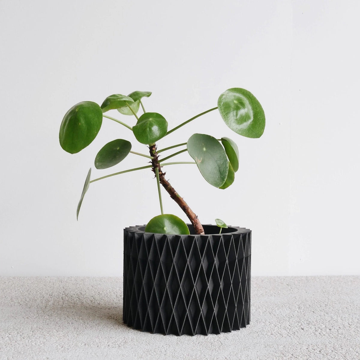 CROIX planter in black finish - minimalist design #color_Black