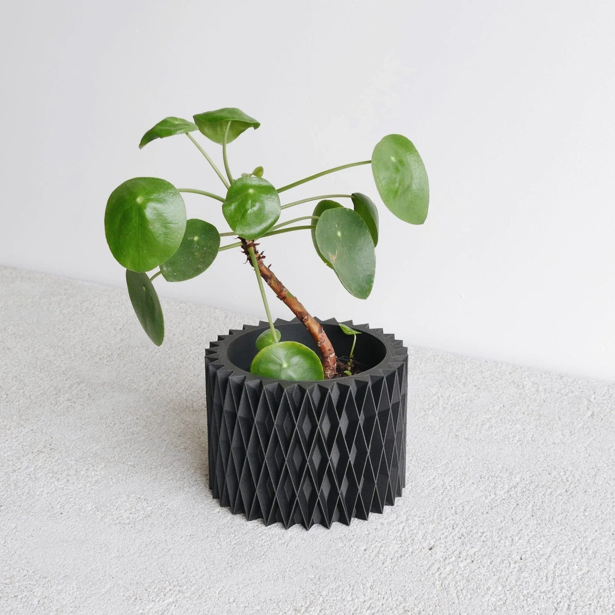 Close-up of the Black CROIX indoor planter showing wood texture #color_Black