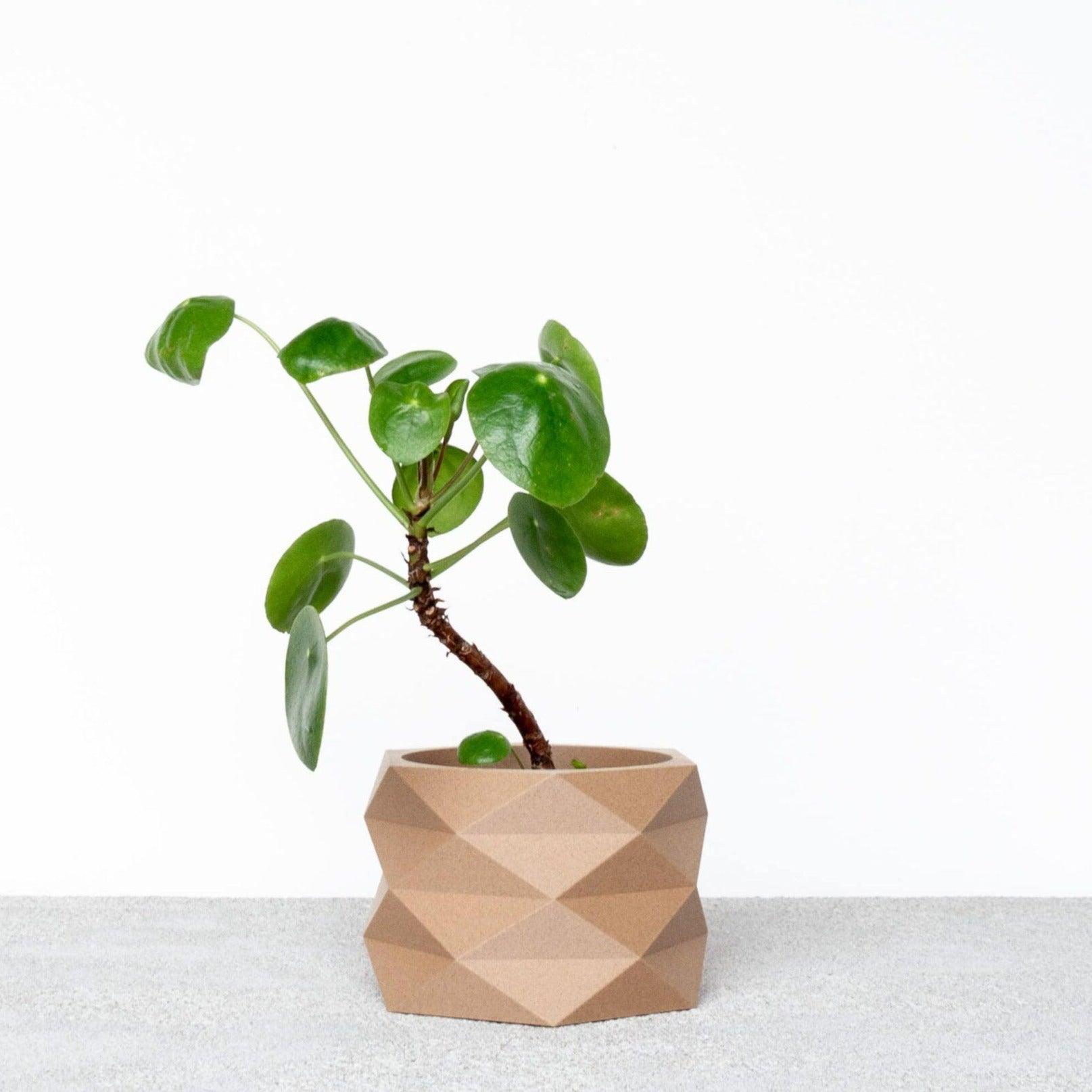 DIAMANT Indoor Planter - Minimum Design #color_Natural