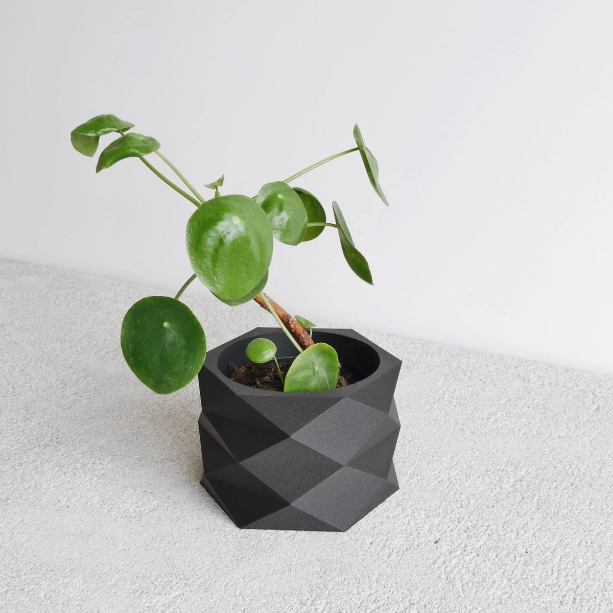 Black Diamant Indoor planter #color_Black