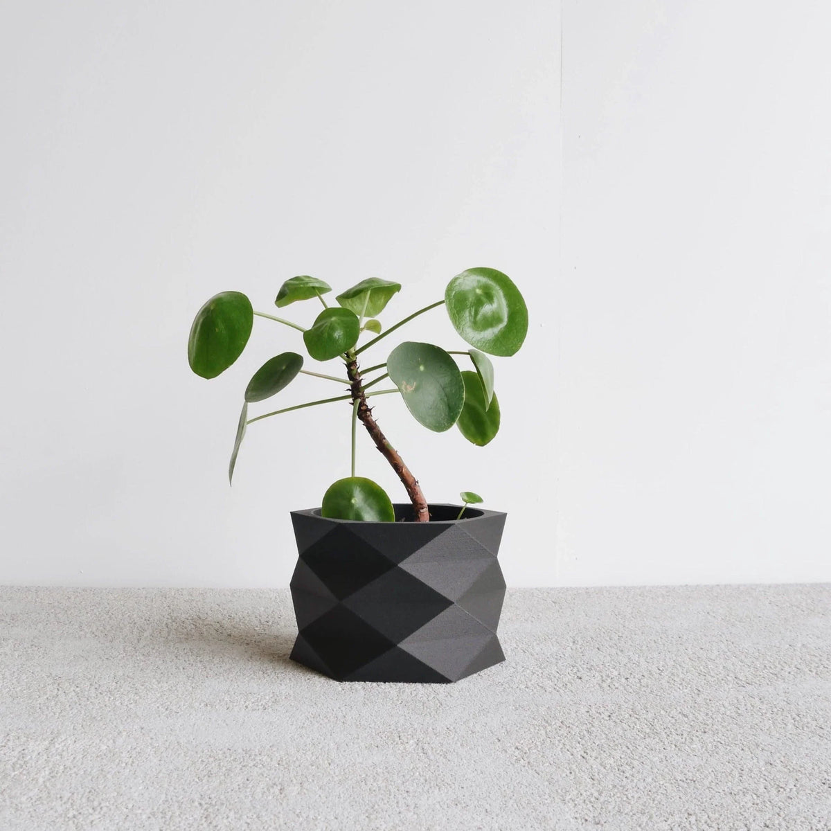 Black diamant indoor planter #color_Black