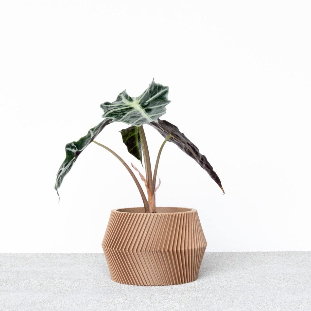 DISSIPAT Indoor Planter - Minimum Design