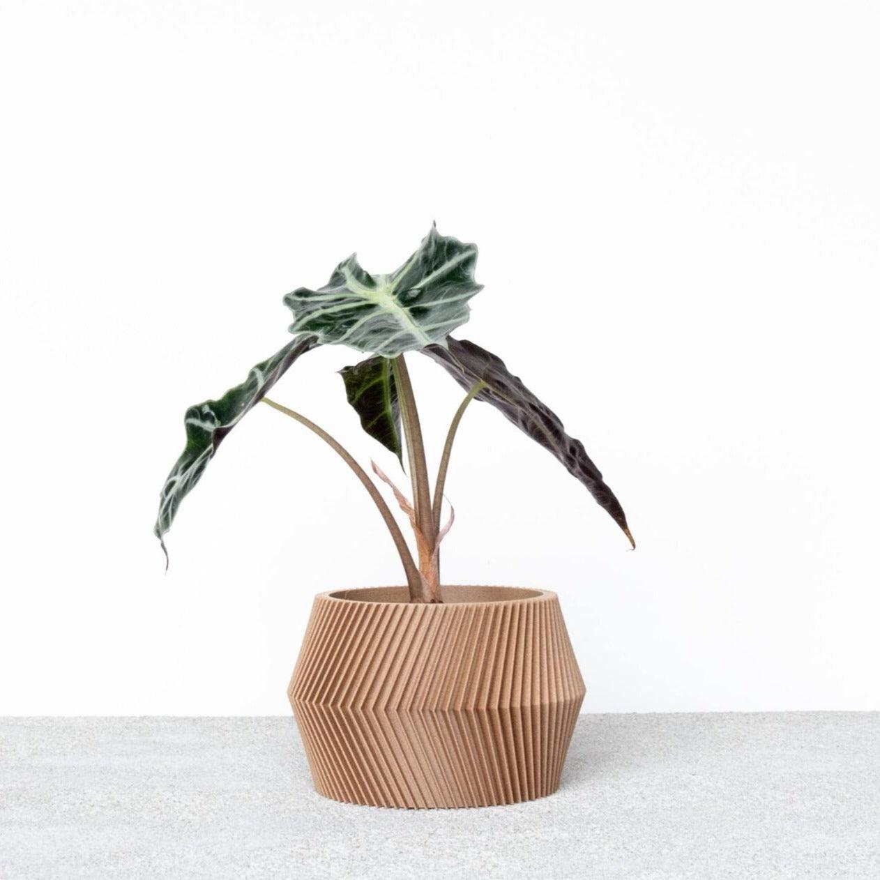 DISSIPAT Indoor Planter - Minimum Design #color_natural