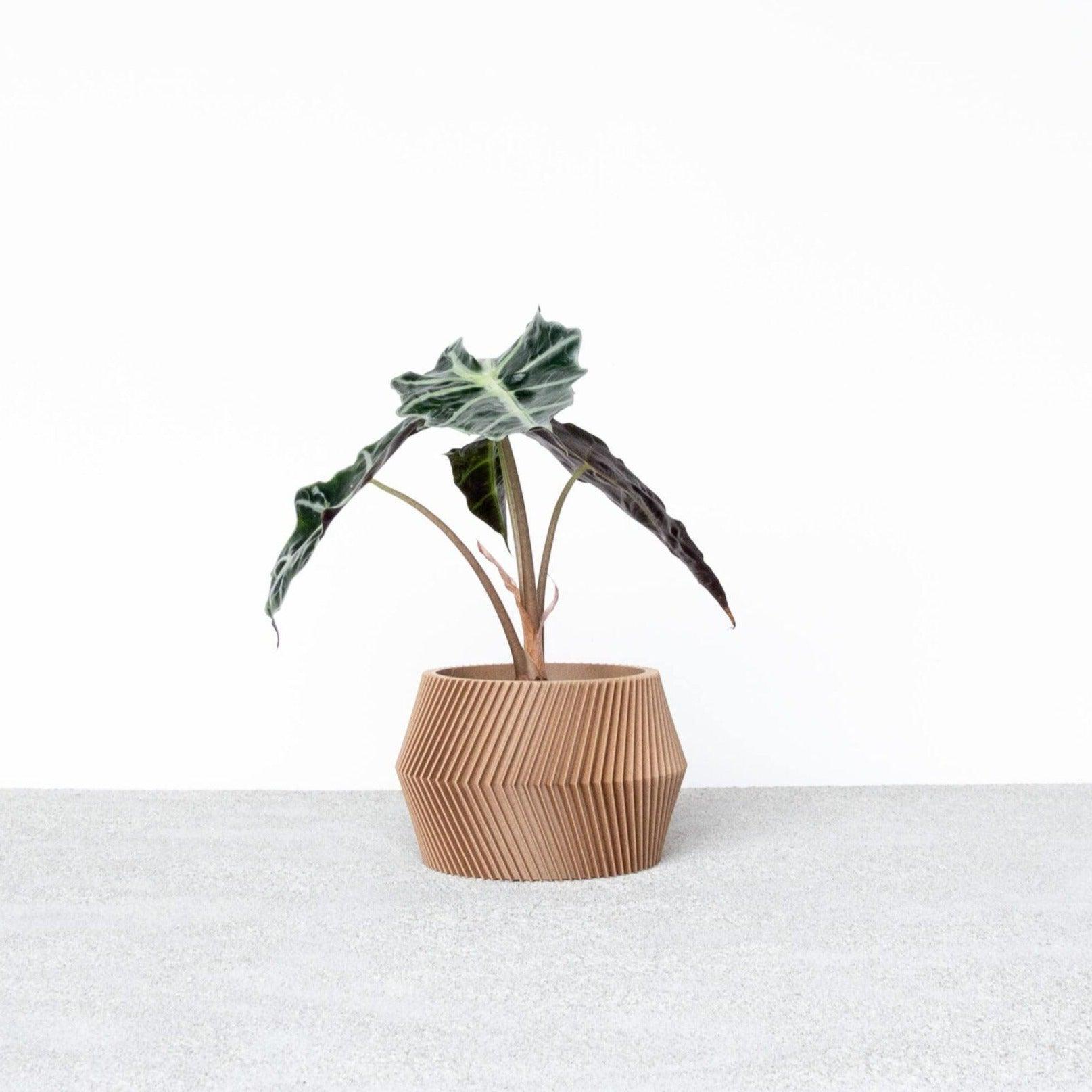 DISSIPAT Indoor Planter - Minimum Design #color_natural