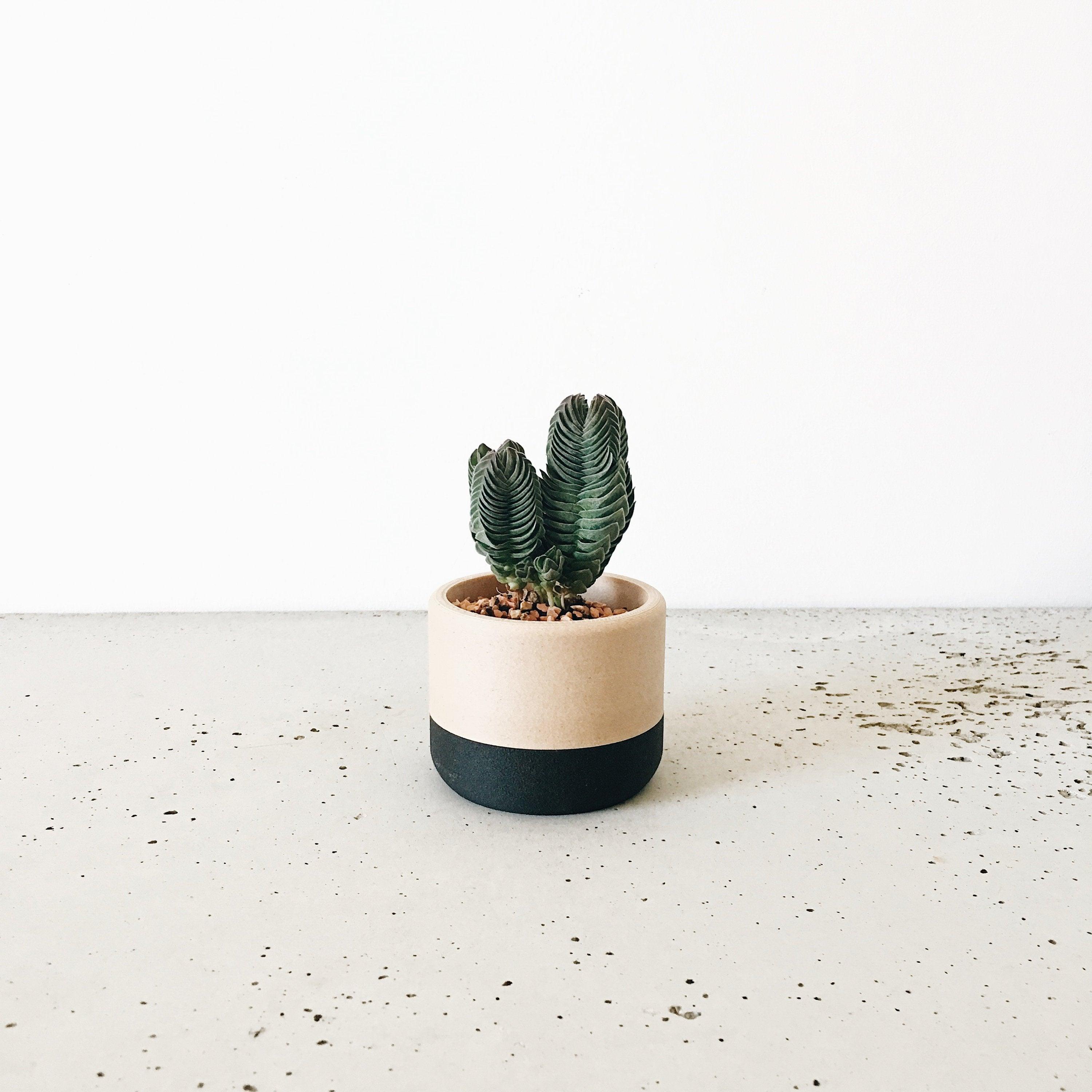 ECOTOOL Indoor Planter - Minimum Design